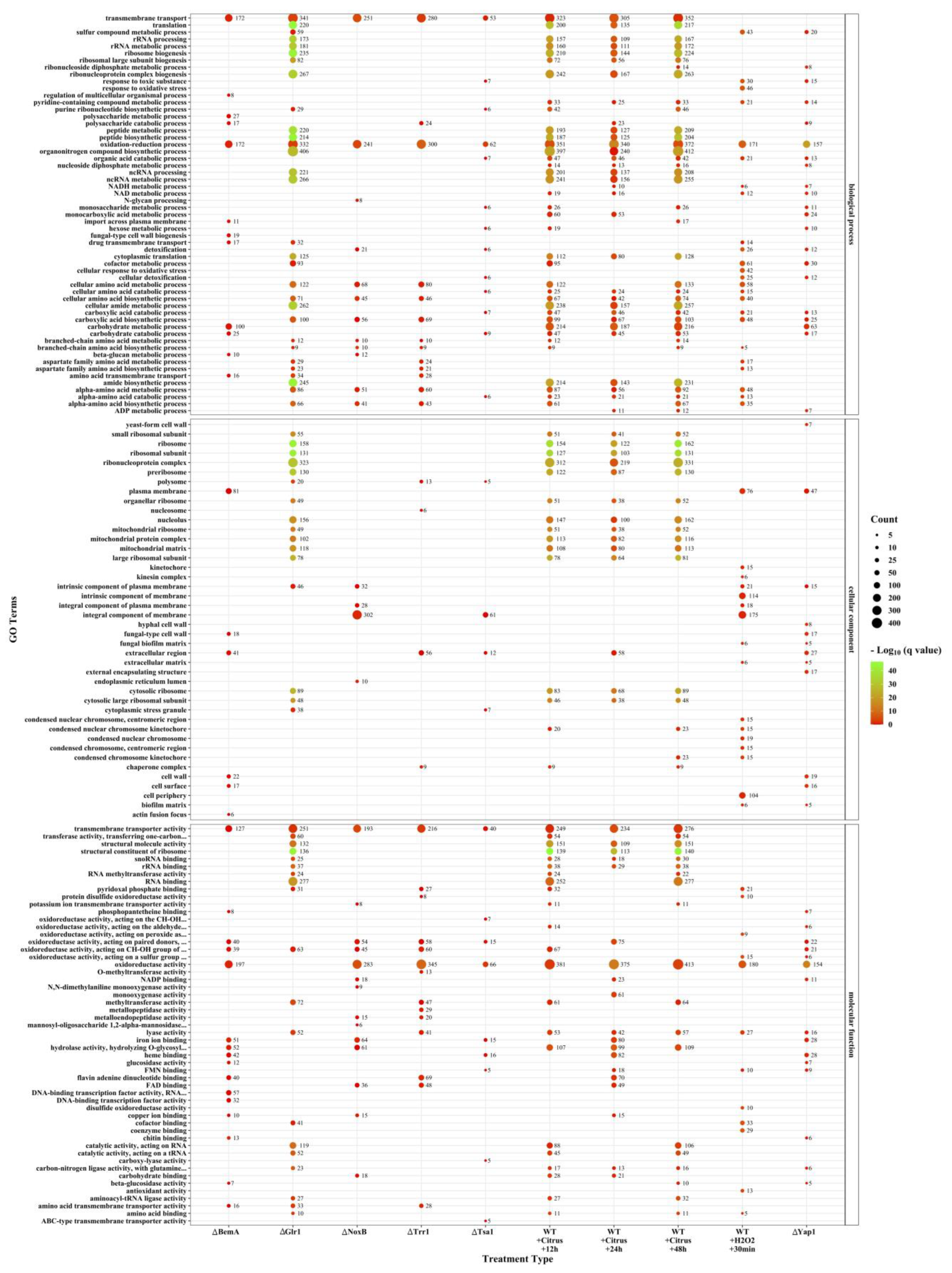 Agronomy 13 02735 g006