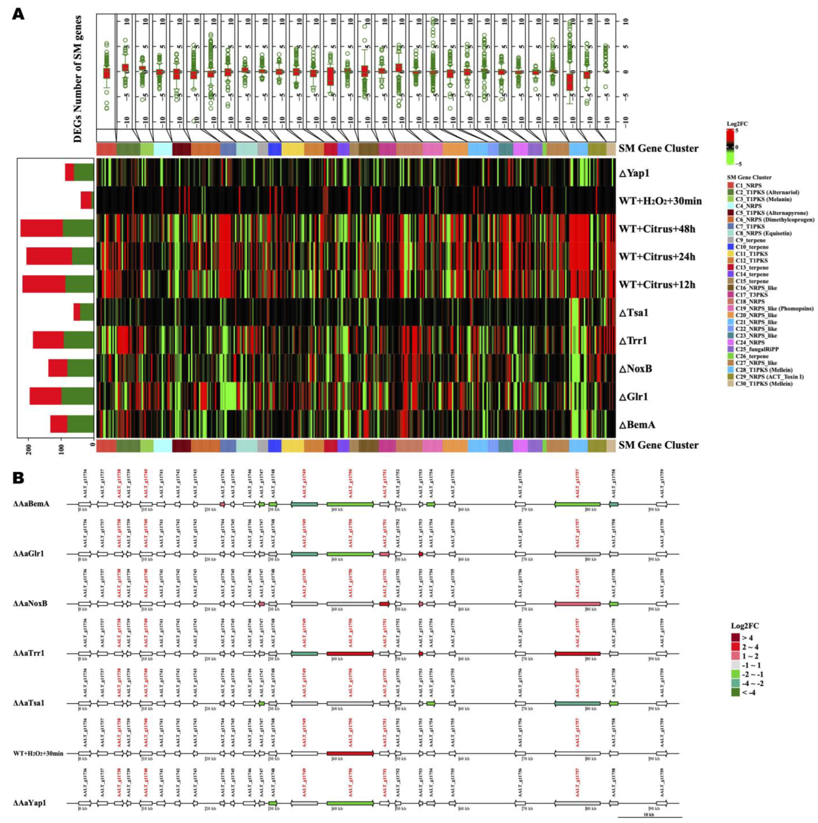 Agronomy 13 02735 g009