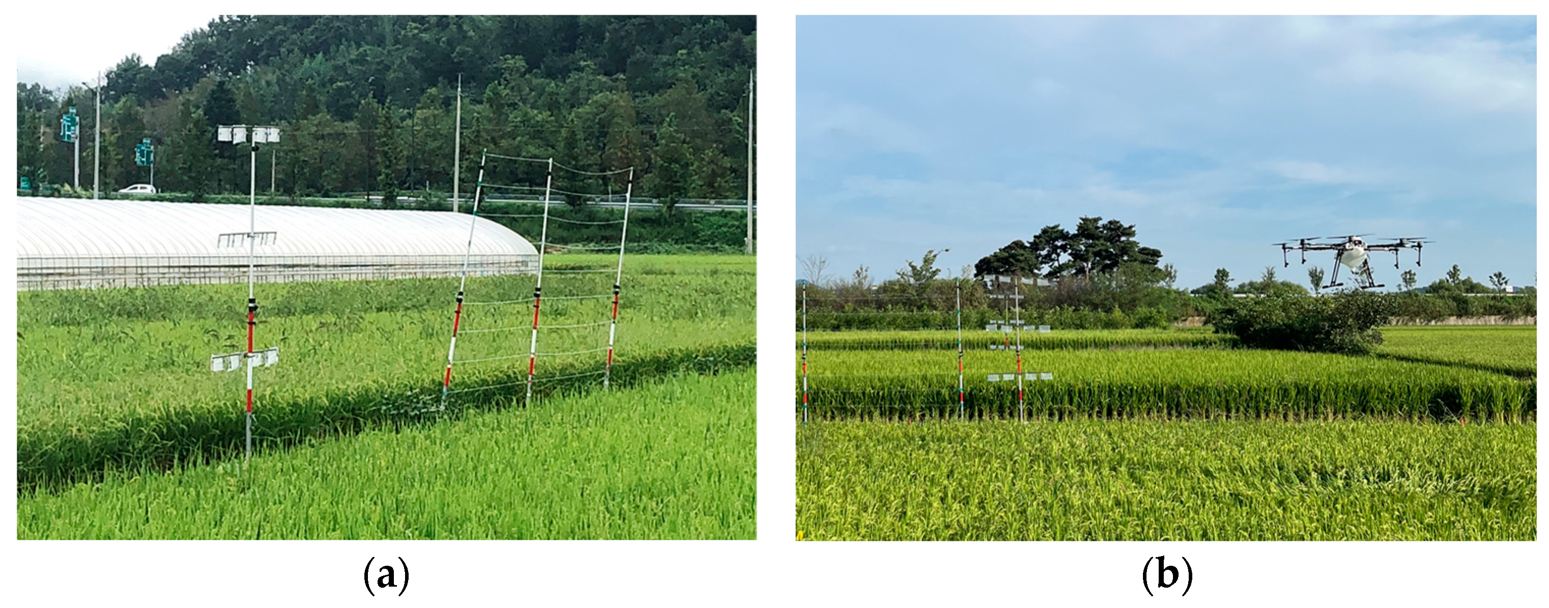 Agronomy 13 02738 g003