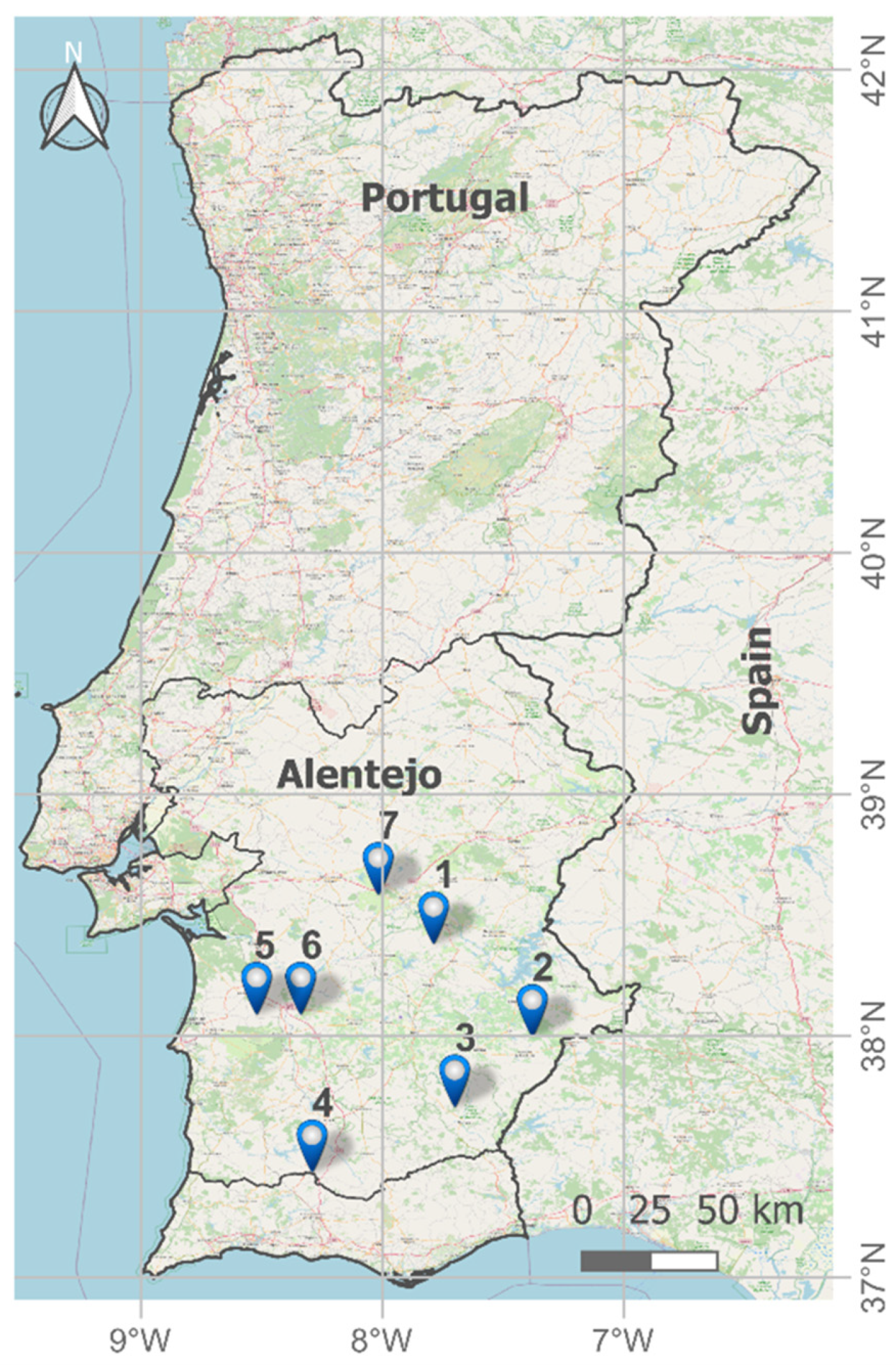 Odemira and Serpa location in Alentejo, South of Portugal map