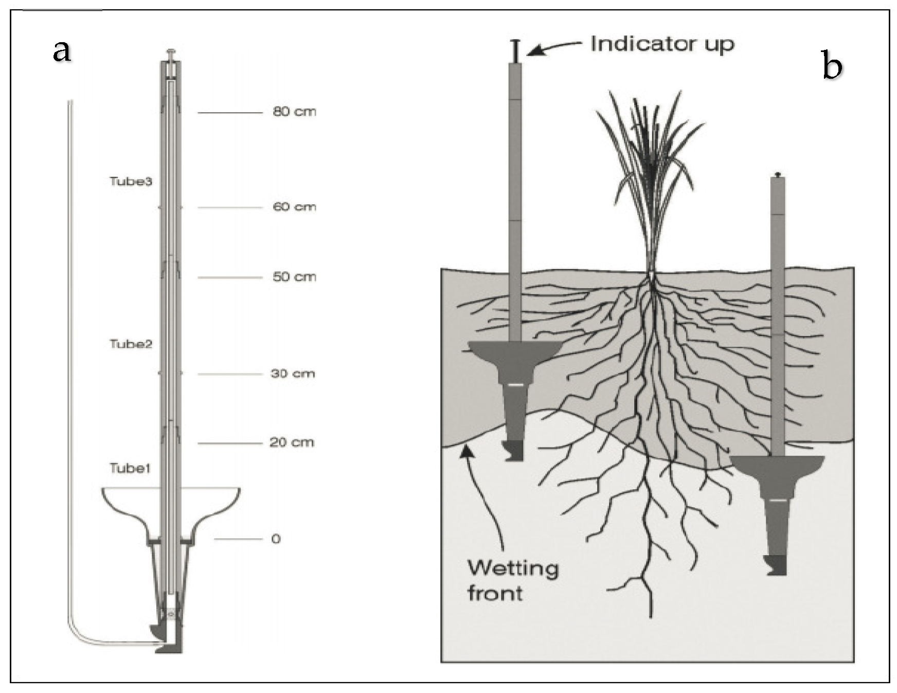 Agronomy 13 02746 g002