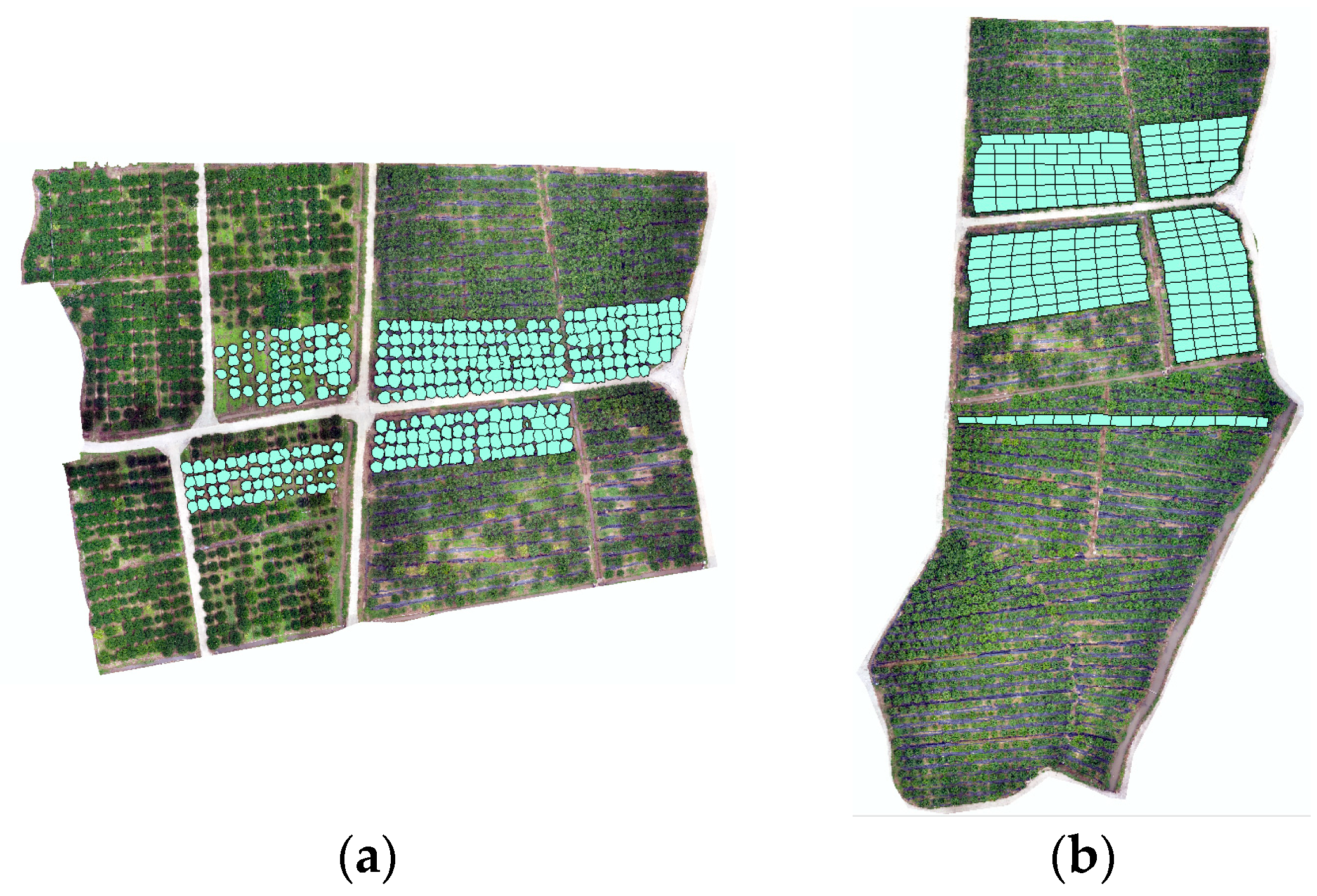 Agronomy 13 02747 g002