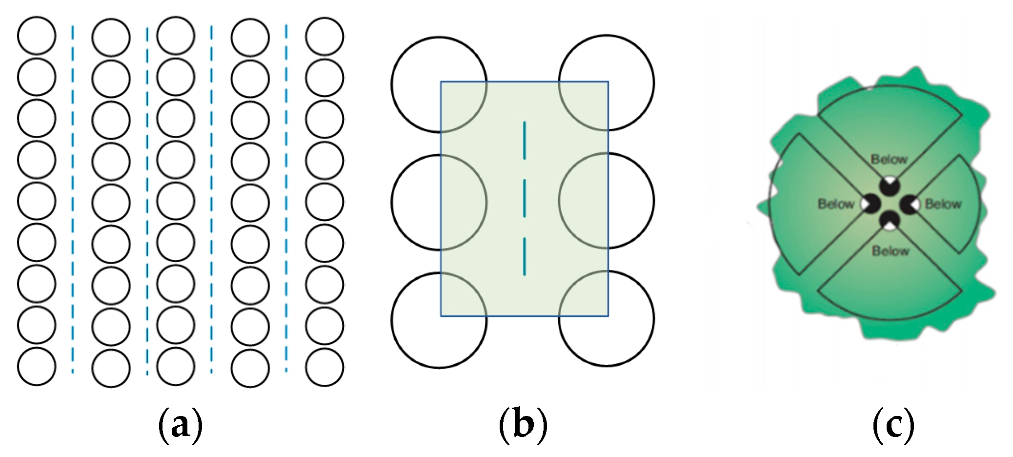 Agronomy 13 02747 g005