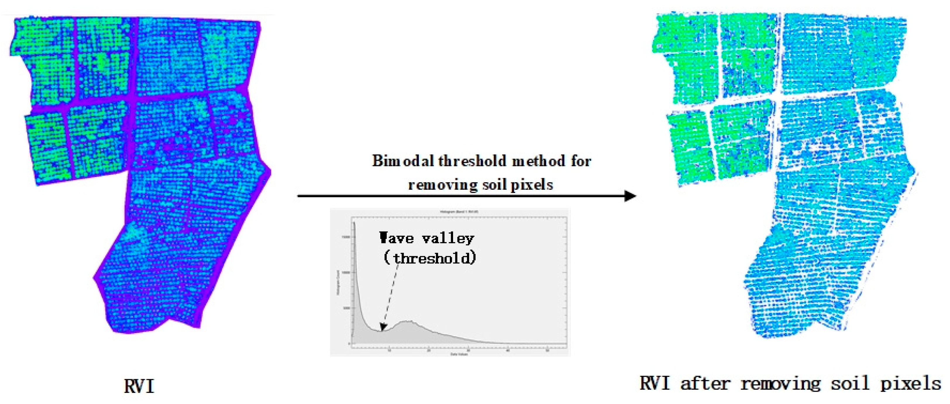 Agronomy 13 02747 g007