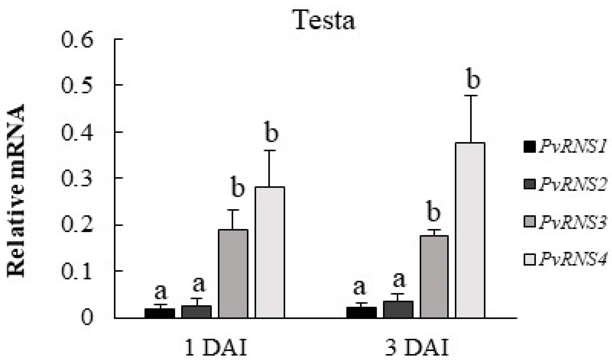 Agronomy 13 02750 g004