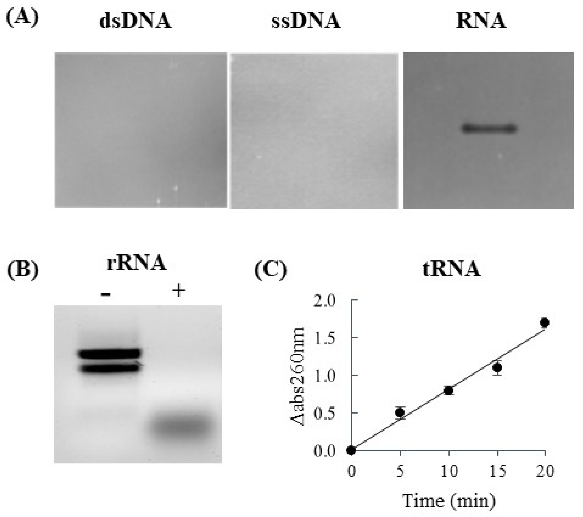 Agronomy 13 02750 g006
