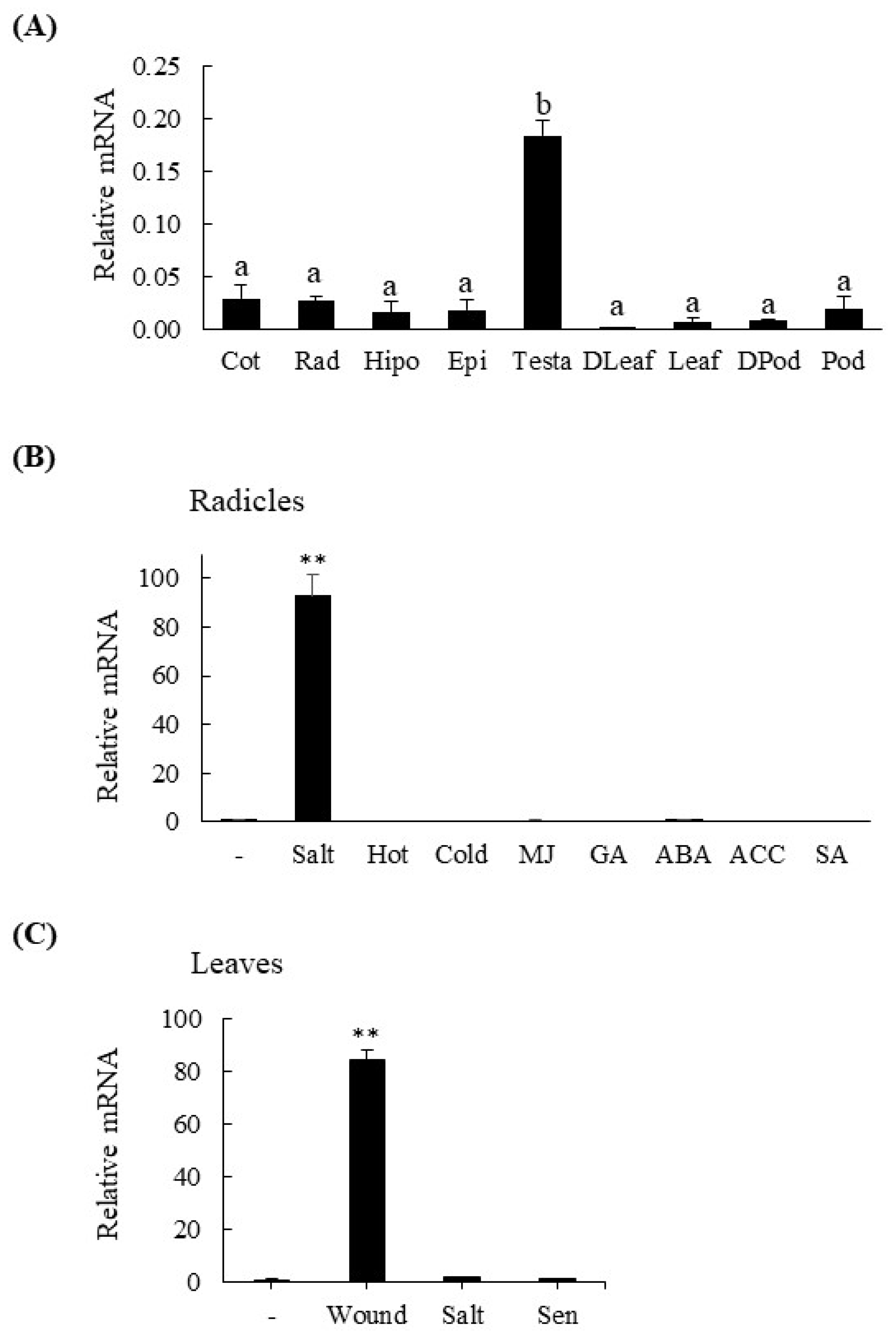Agronomy 13 02750 g008