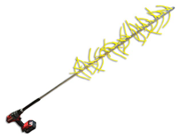 Agronomy 13 02753 i003