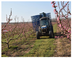 Agronomy 13 02753 i024