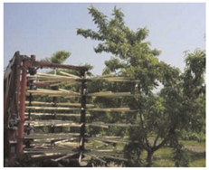 Agronomy 13 02753 i028