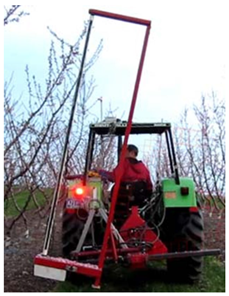 Agronomy 13 02753 i031