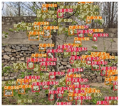 Agronomy 13 02753 i047