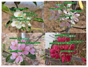 Agronomy 13 02753 i048