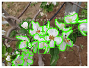 Agronomy 13 02753 i050