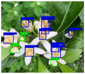 Agronomy 13 02753 i058