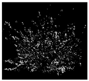 Agronomy 13 02753 i063