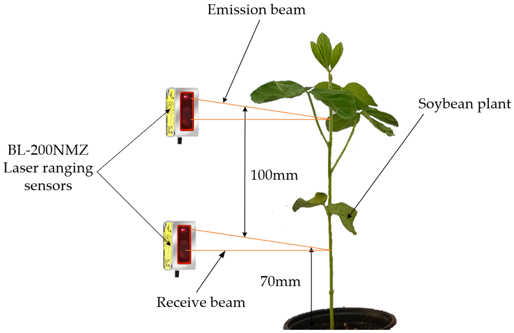 Agronomy 13 02757 g003