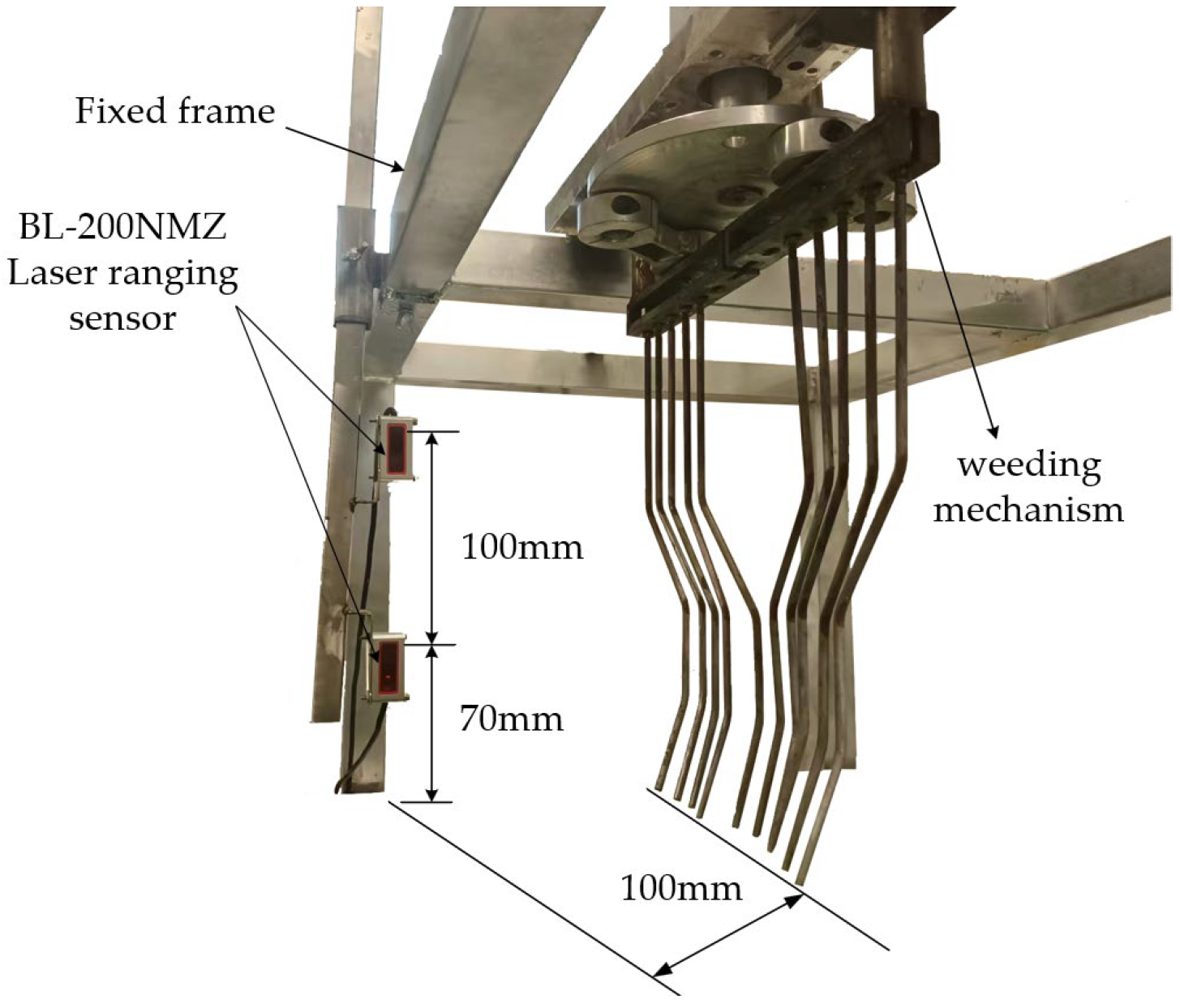 Agronomy 13 02757 g005