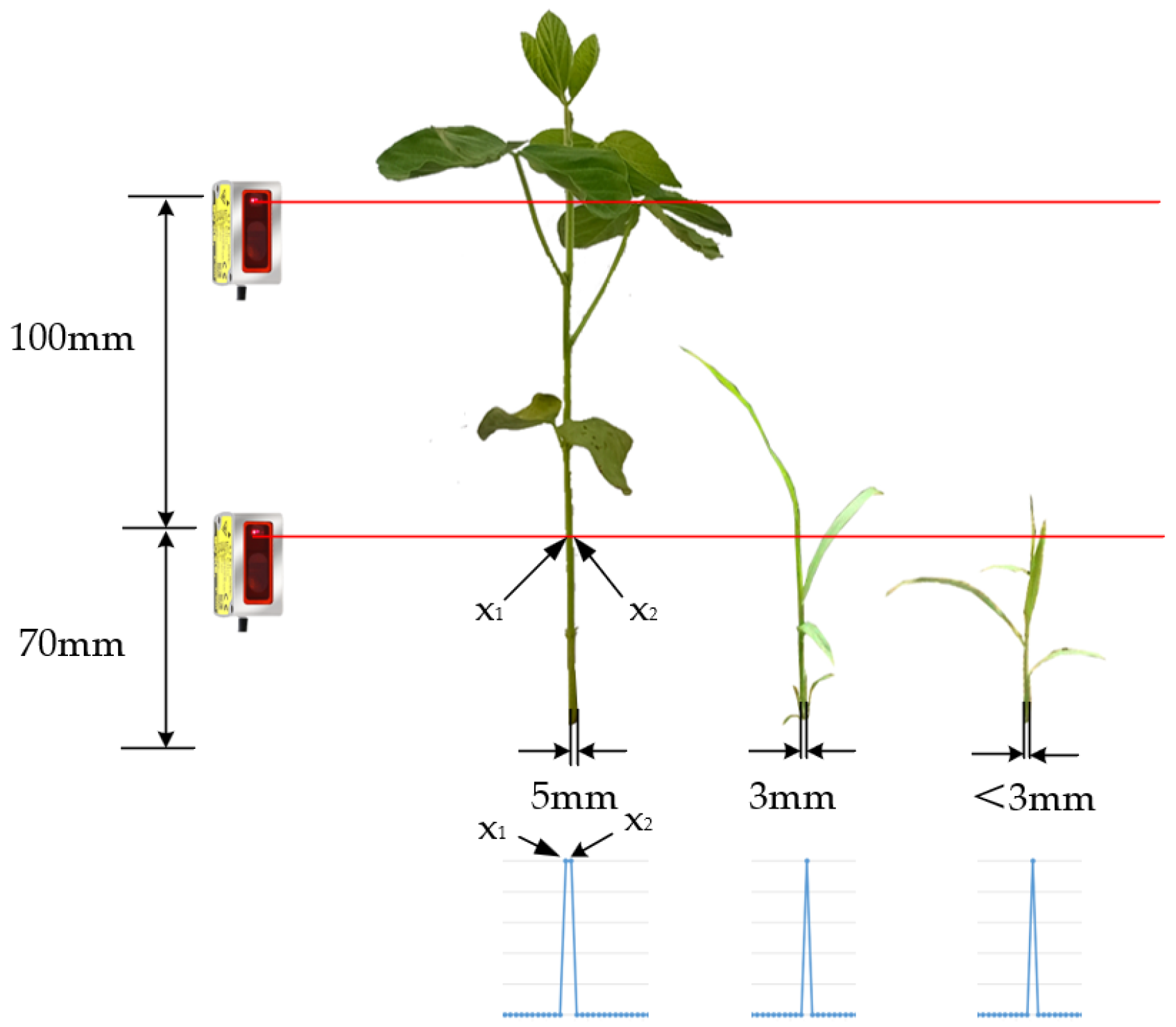Agronomy 13 02757 g012