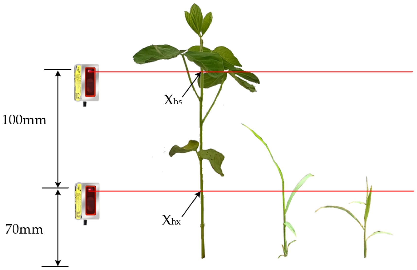 Agronomy 13 02757 g013