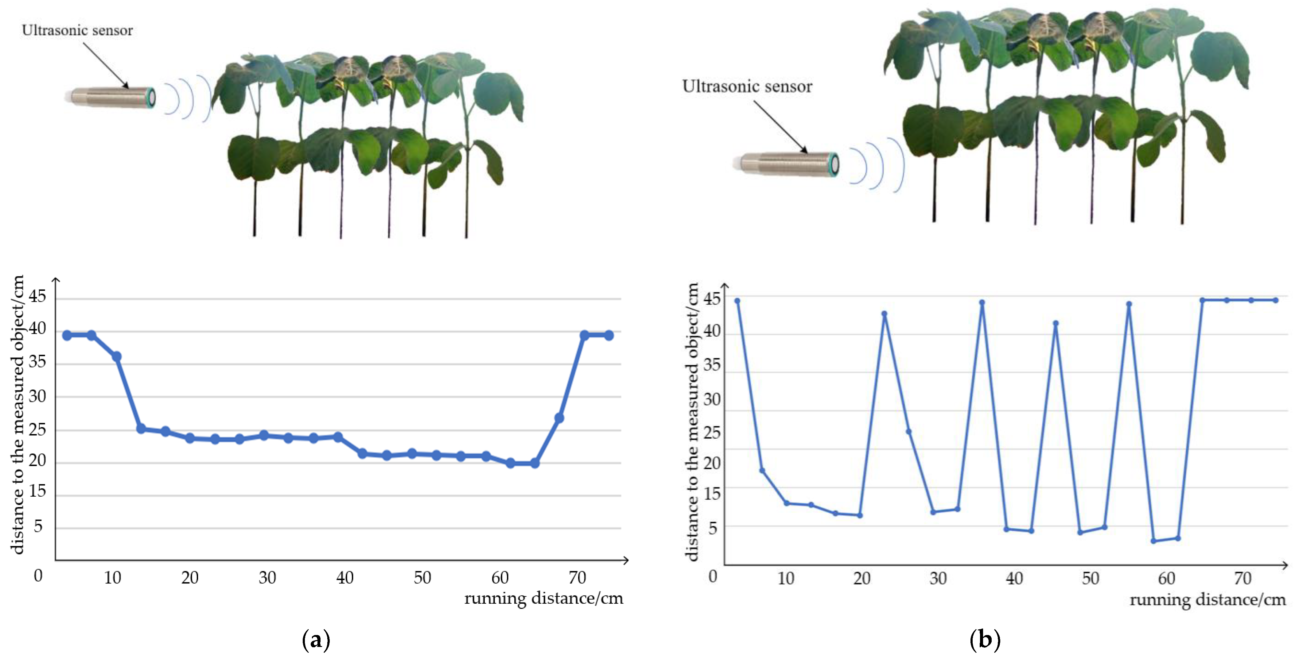 Agronomy 13 02757 g016