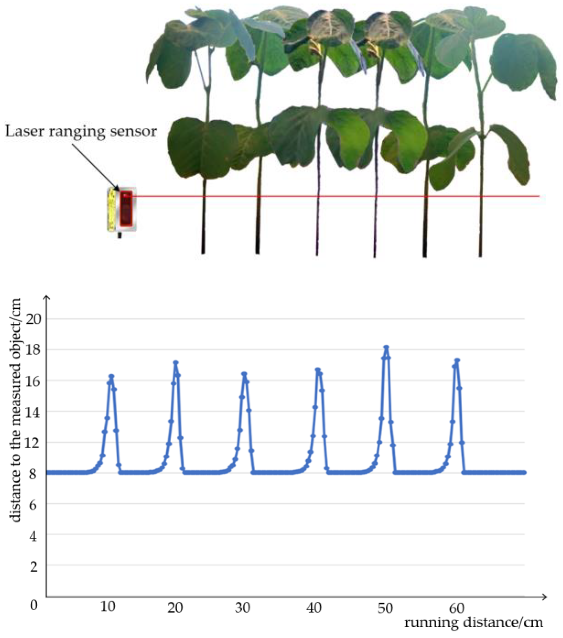 Agronomy 13 02757 g017