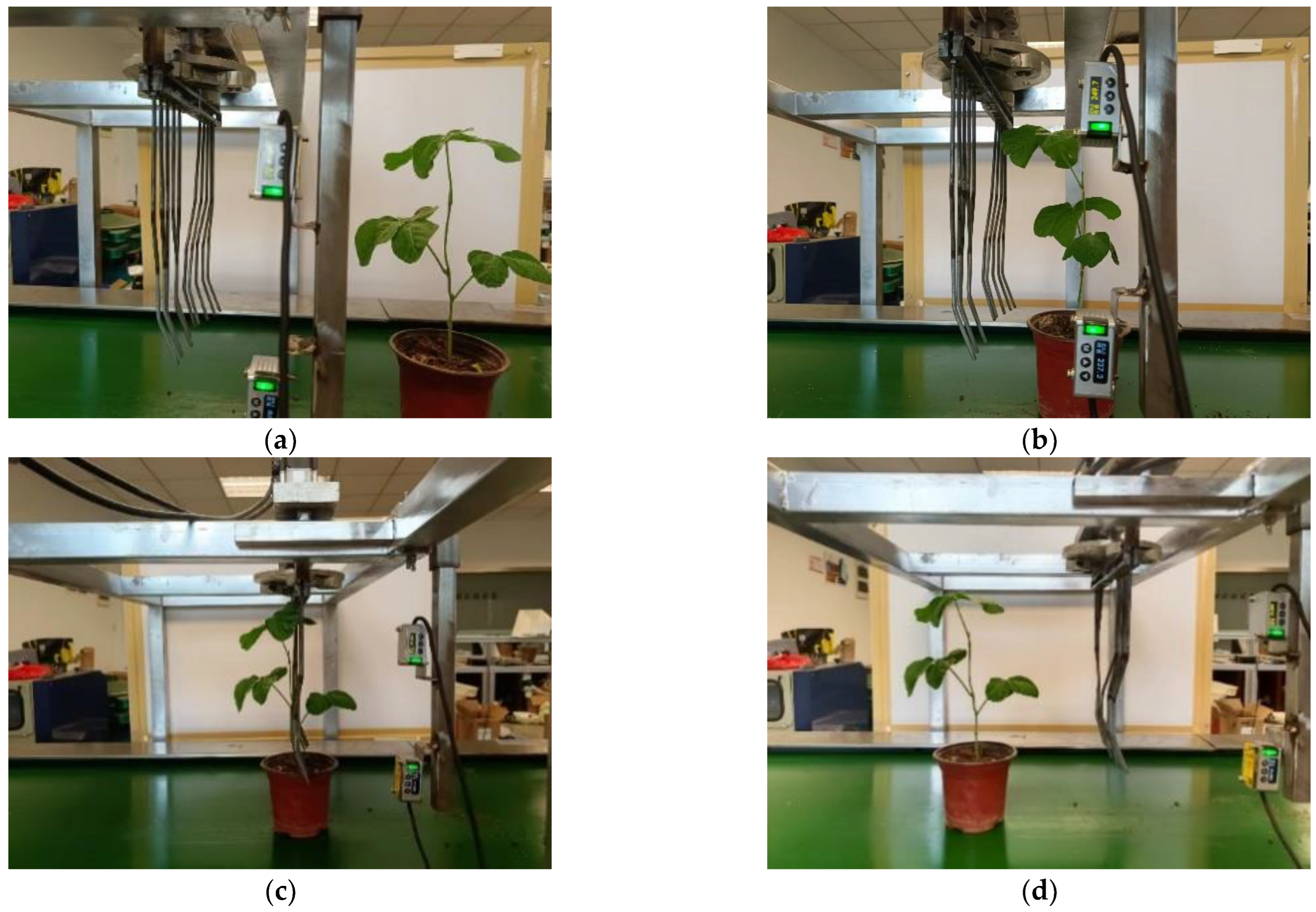 Agronomy 13 02757 g022