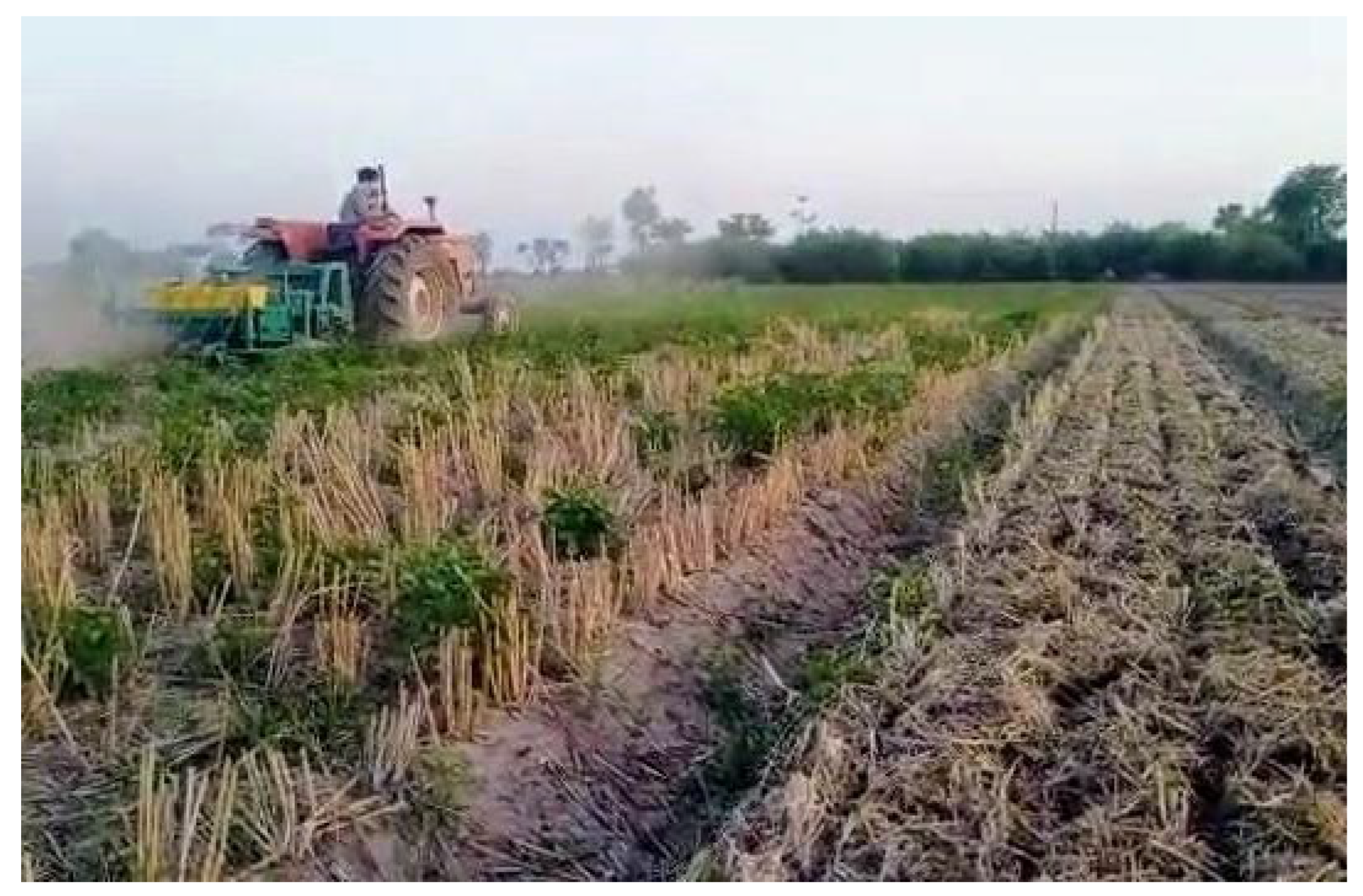 Agronomy 13 02758 g001 Agronomy 13 02758 g001