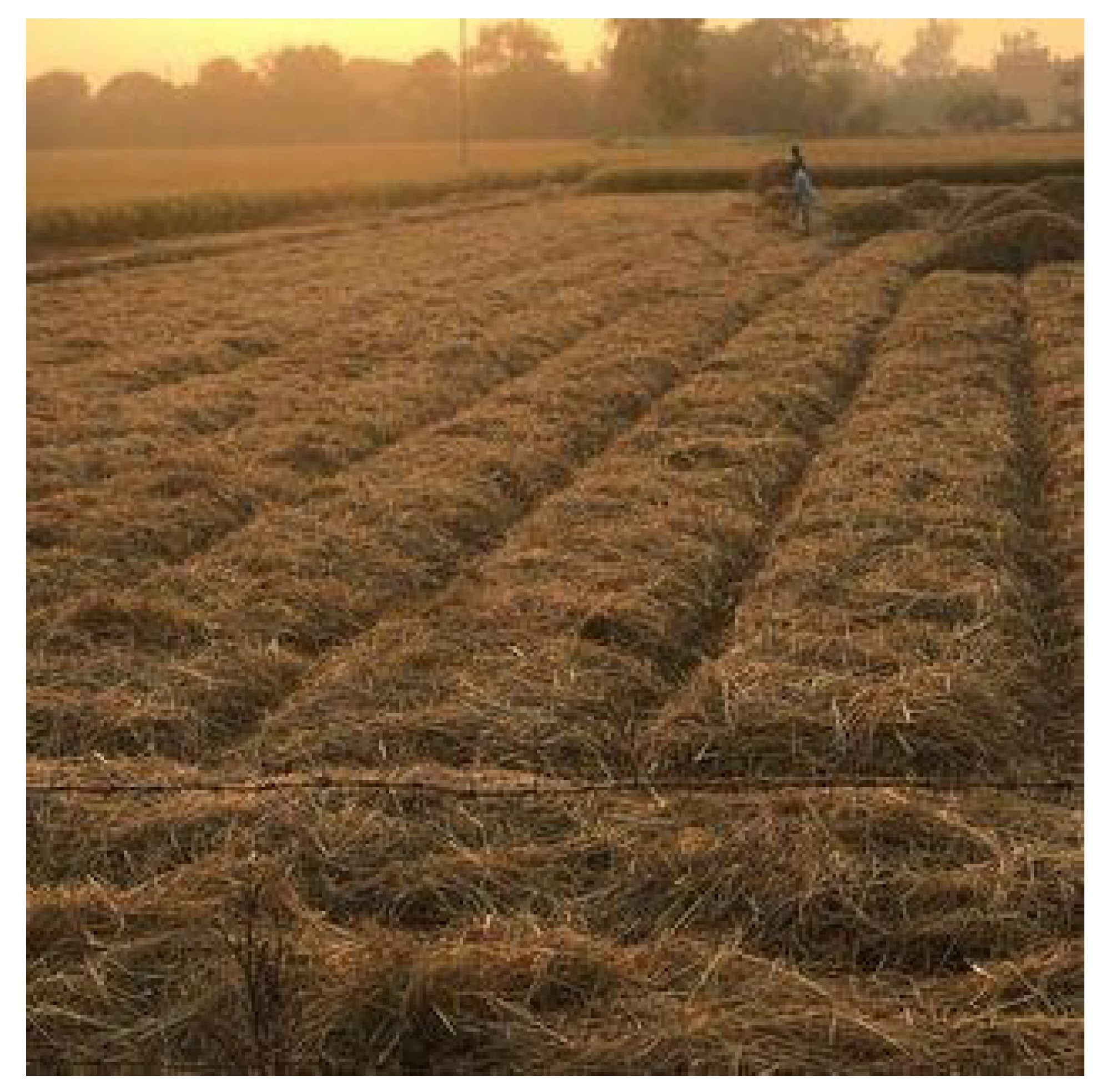 Agronomy 13 02758 g002 Agronomy 13 02758 g002