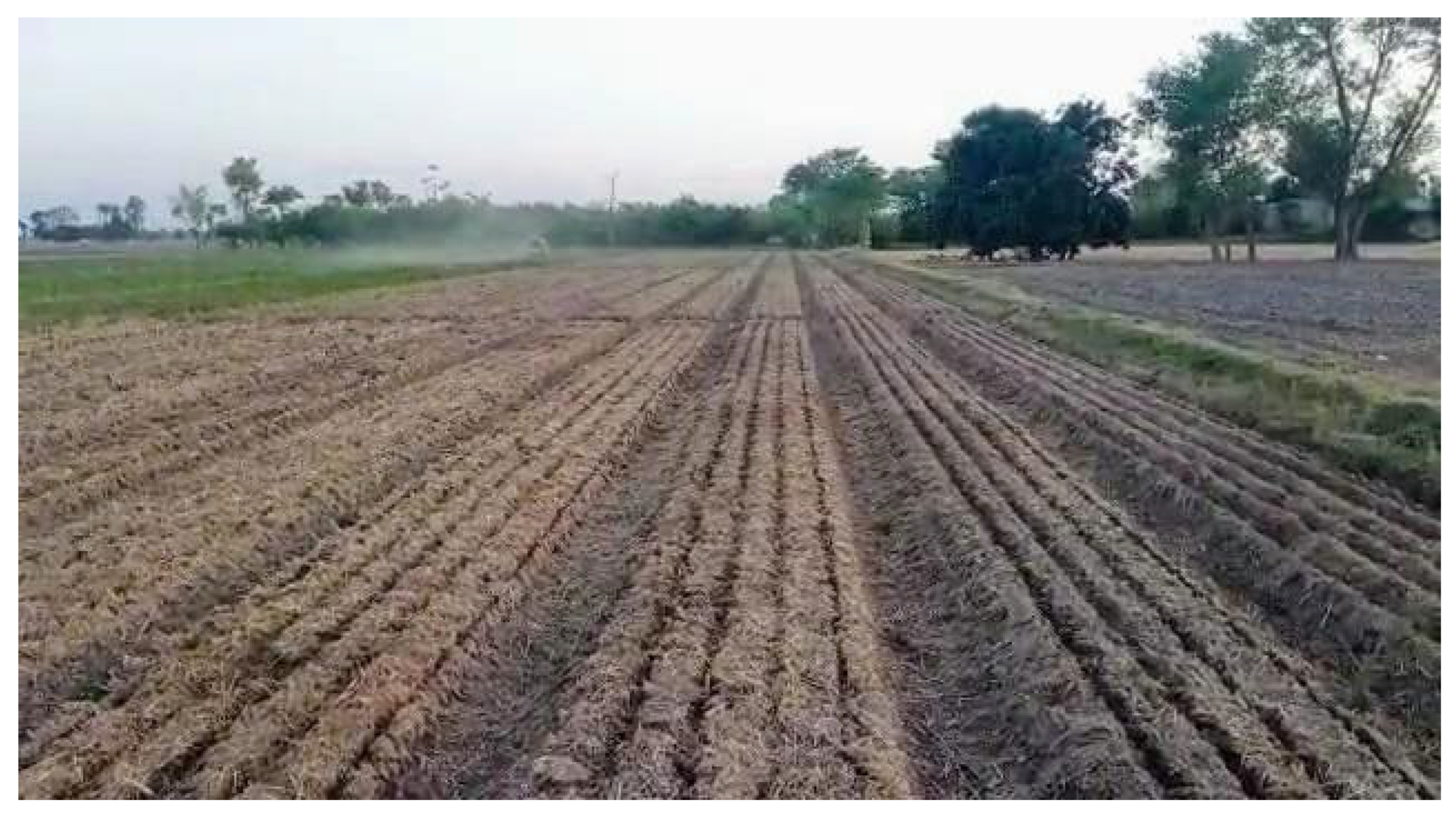 Agronomy 13 02758 g003 Agronomy 13 02758 g003