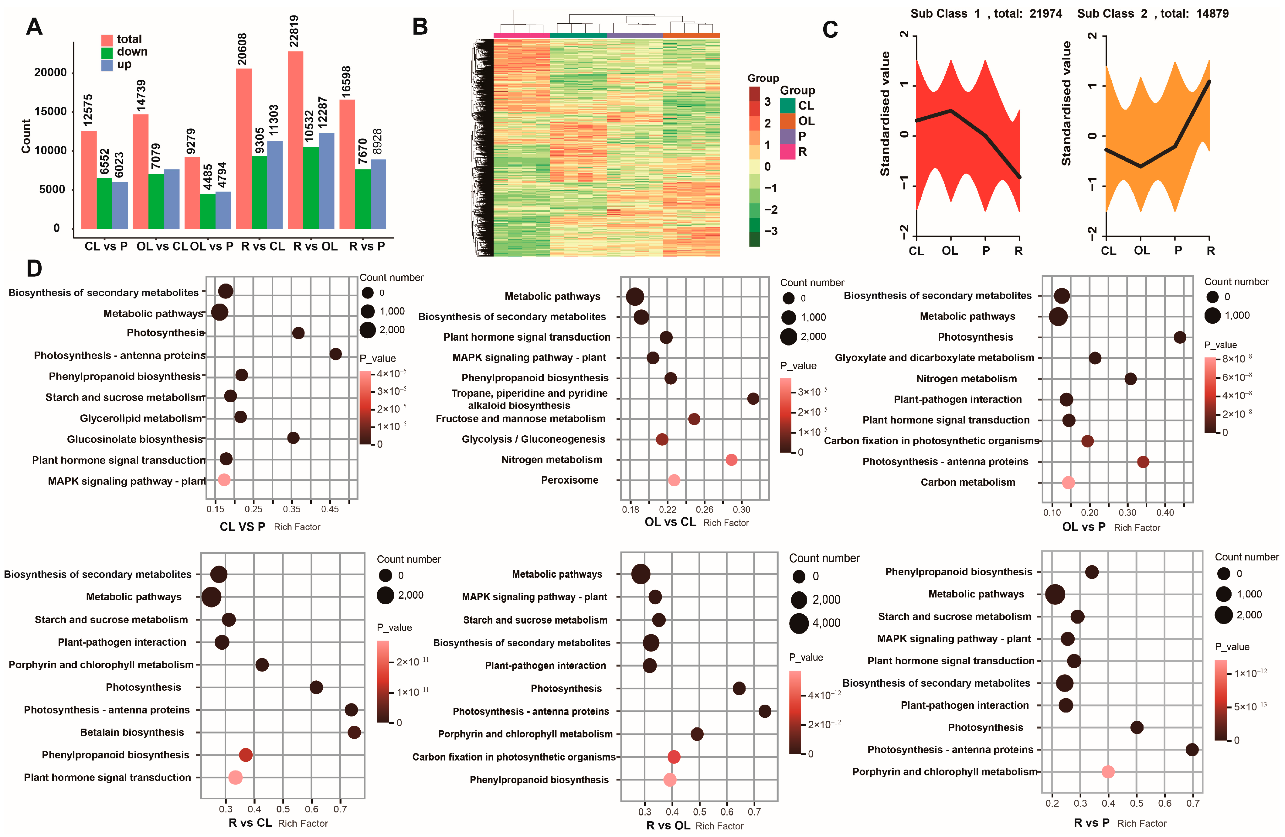 Agronomy 13 02760 g002