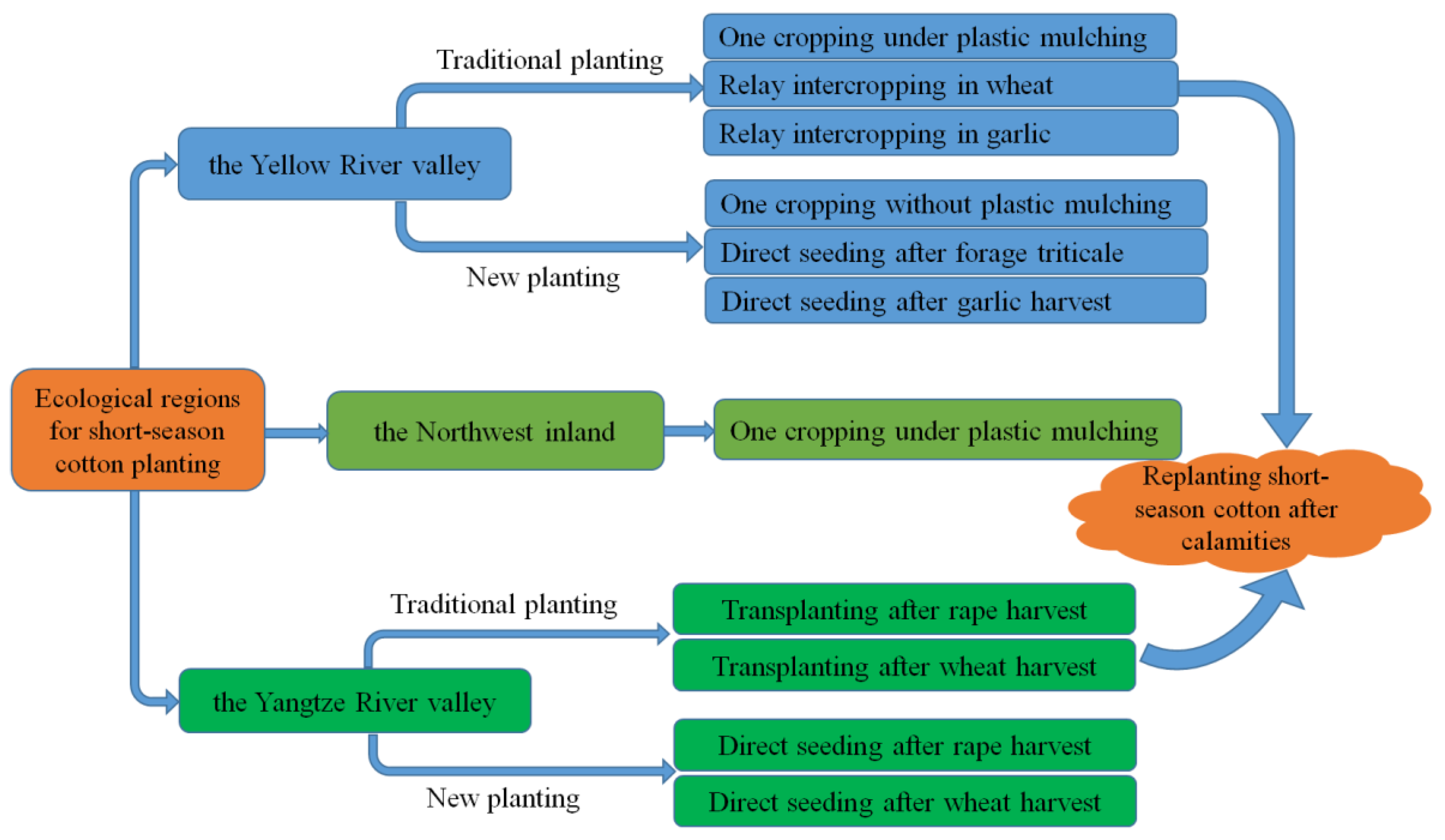 Agronomy 13 02770 g001