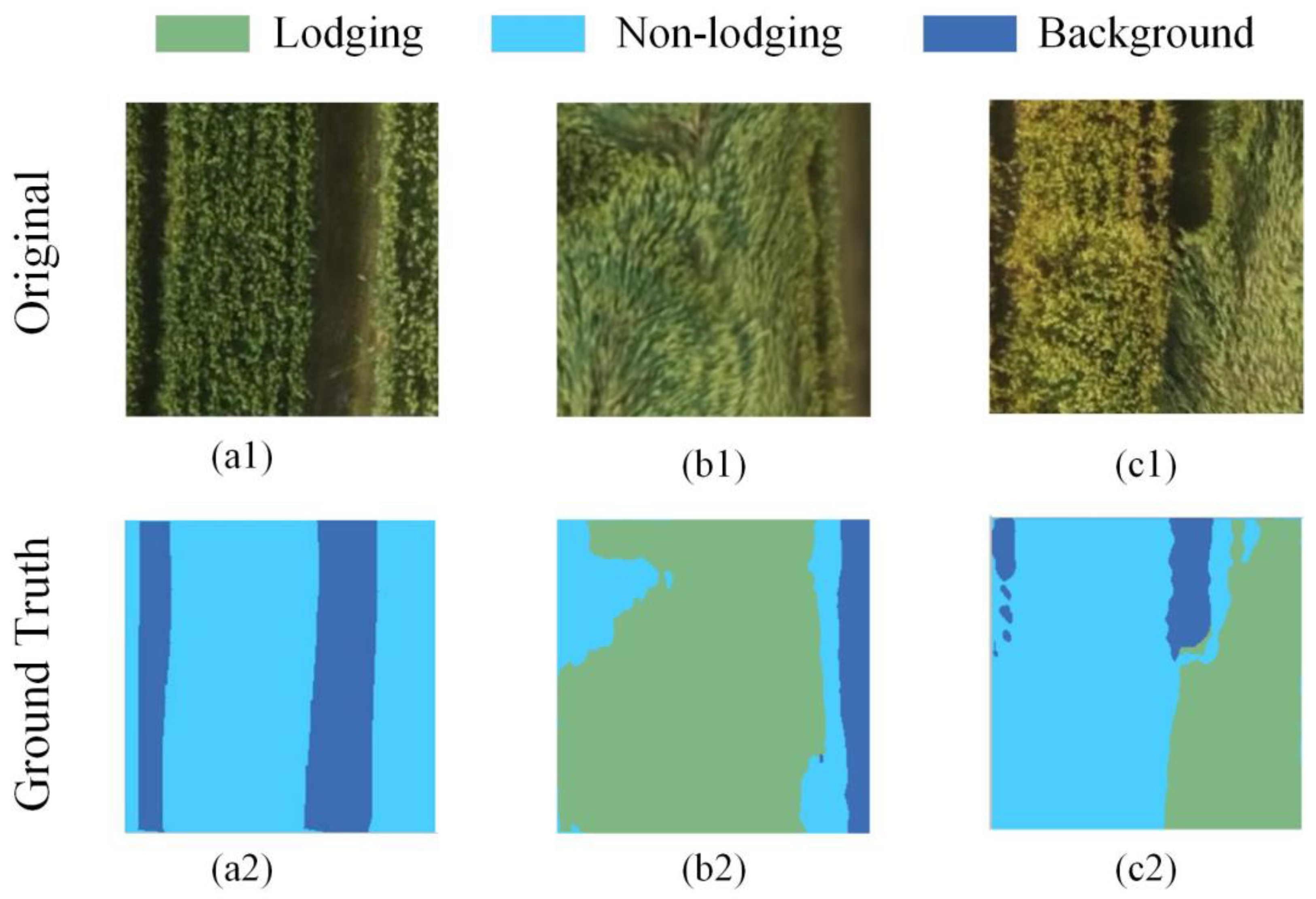 Agronomy 13 02772 g002