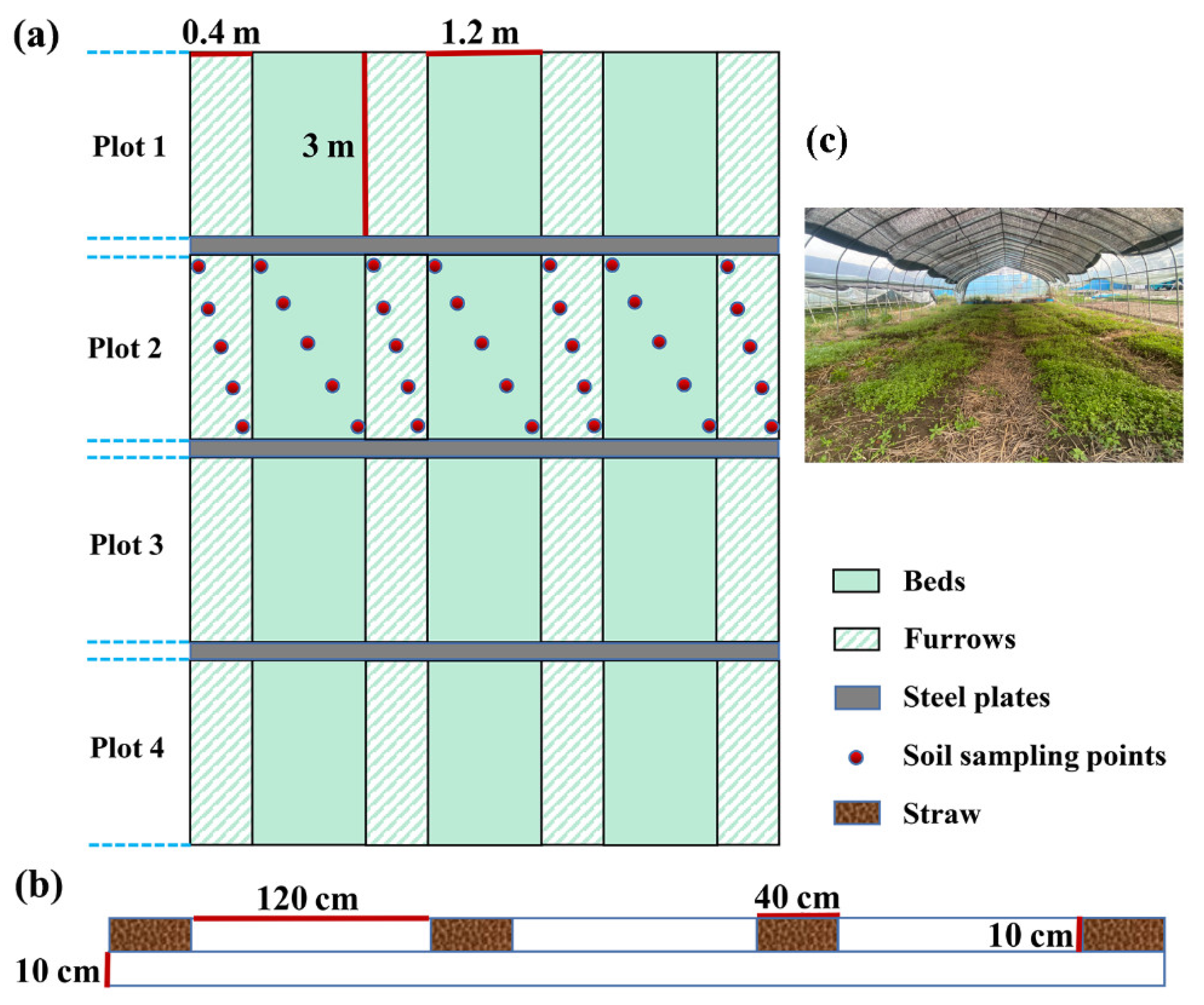 Agronomy 13 02774 g001
