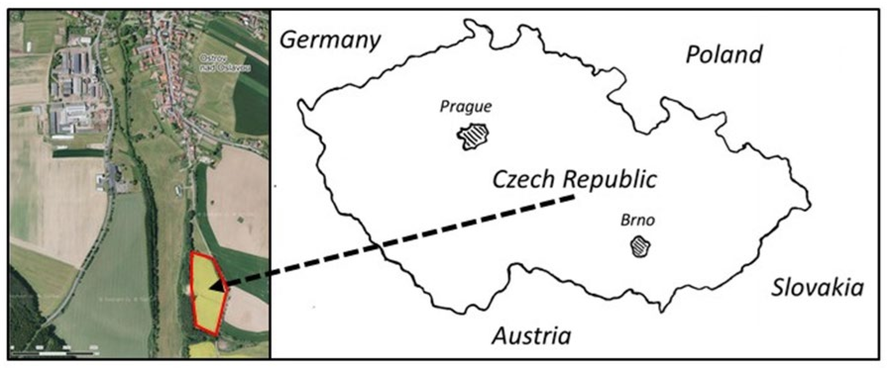 Agronomy 13 02775 g001