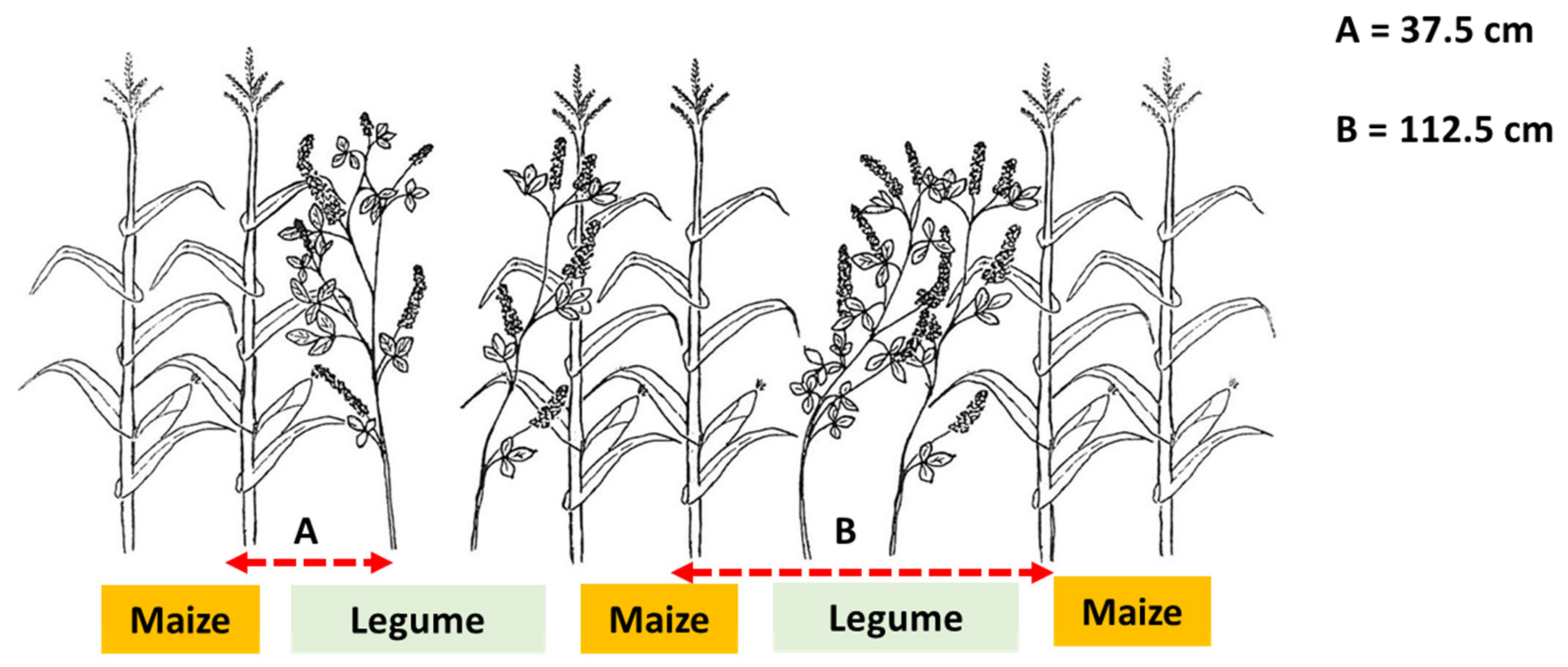 Agronomy 13 02775 g004