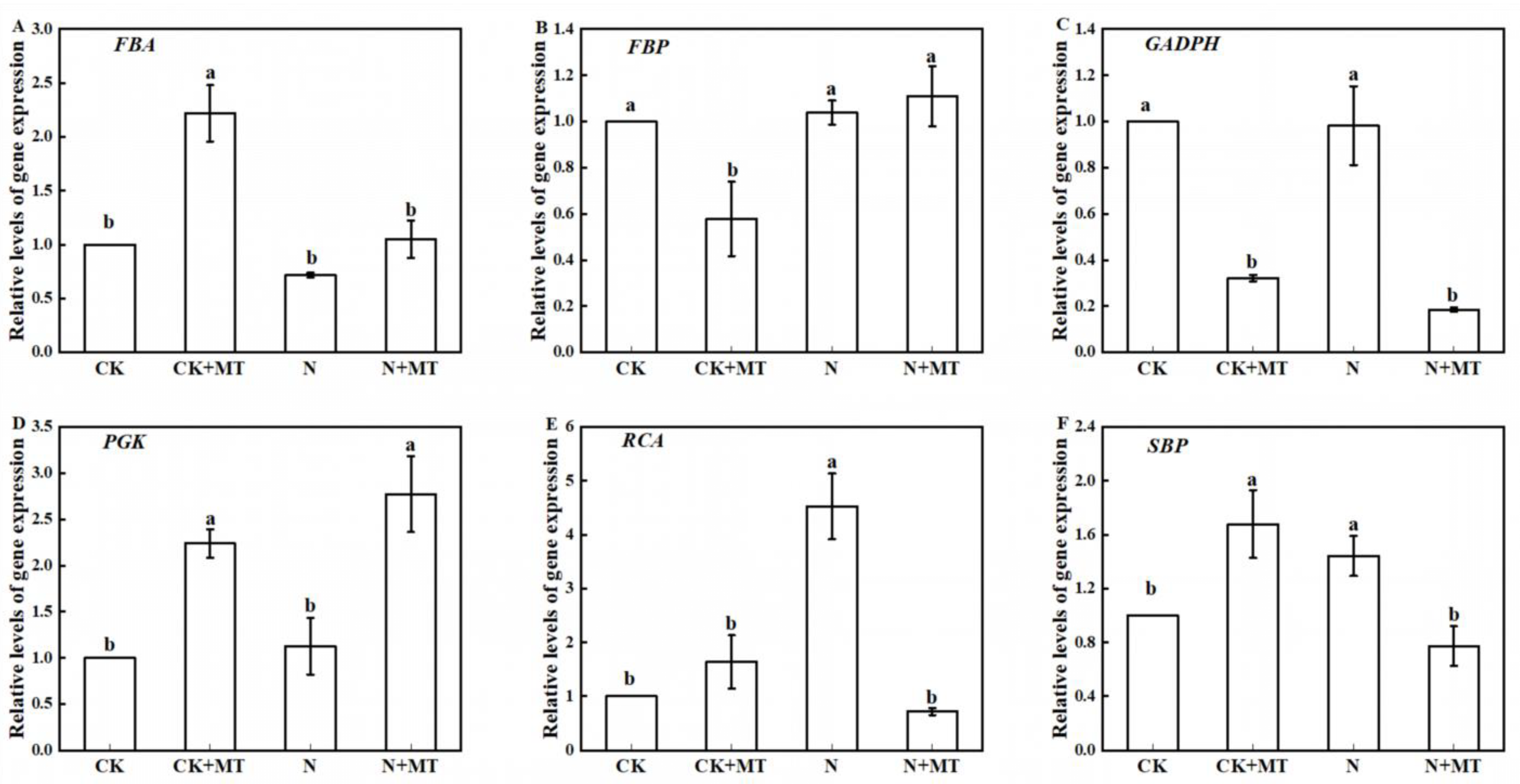Agronomy 13 02777 g008