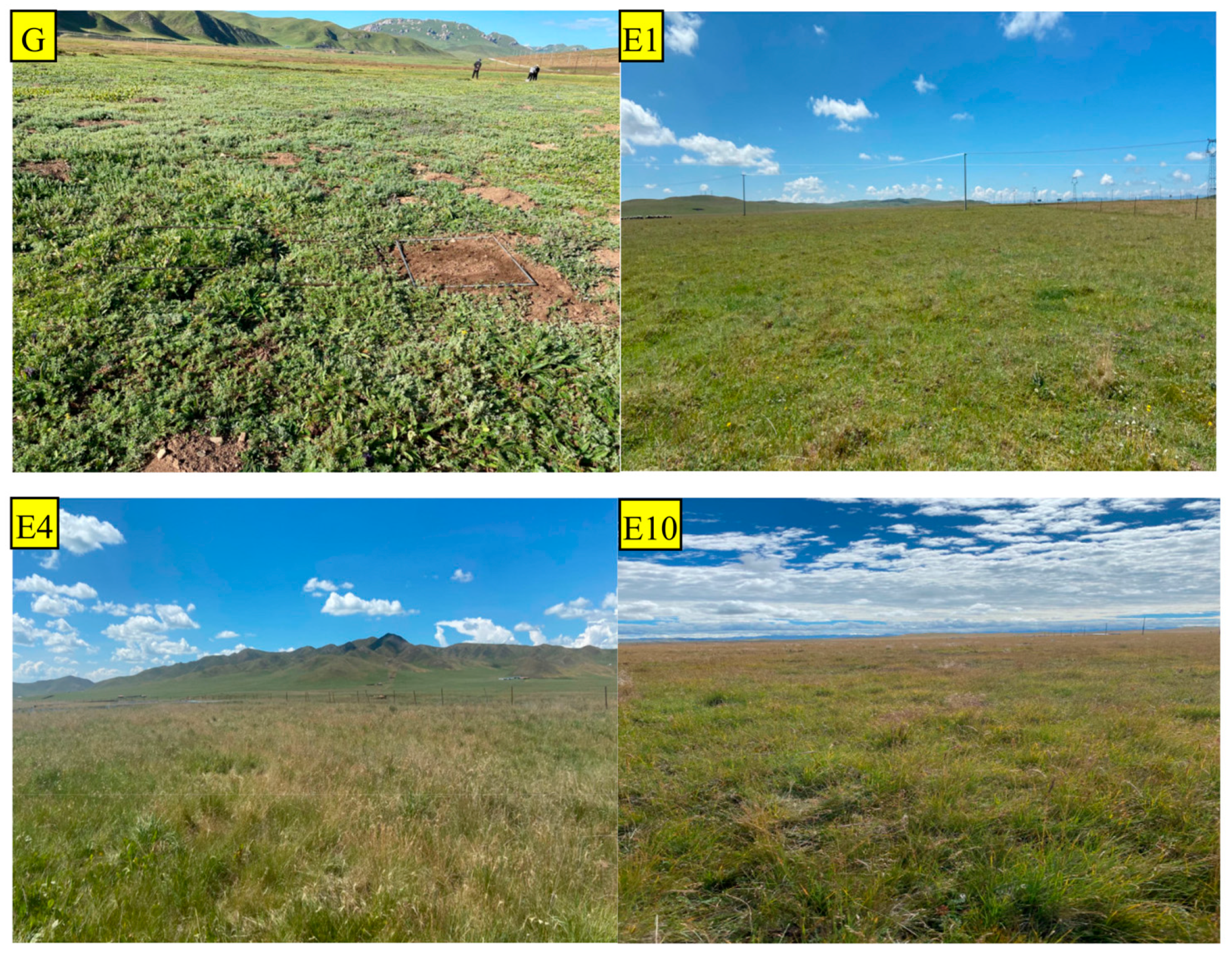 Agronomy 13 02781 g001