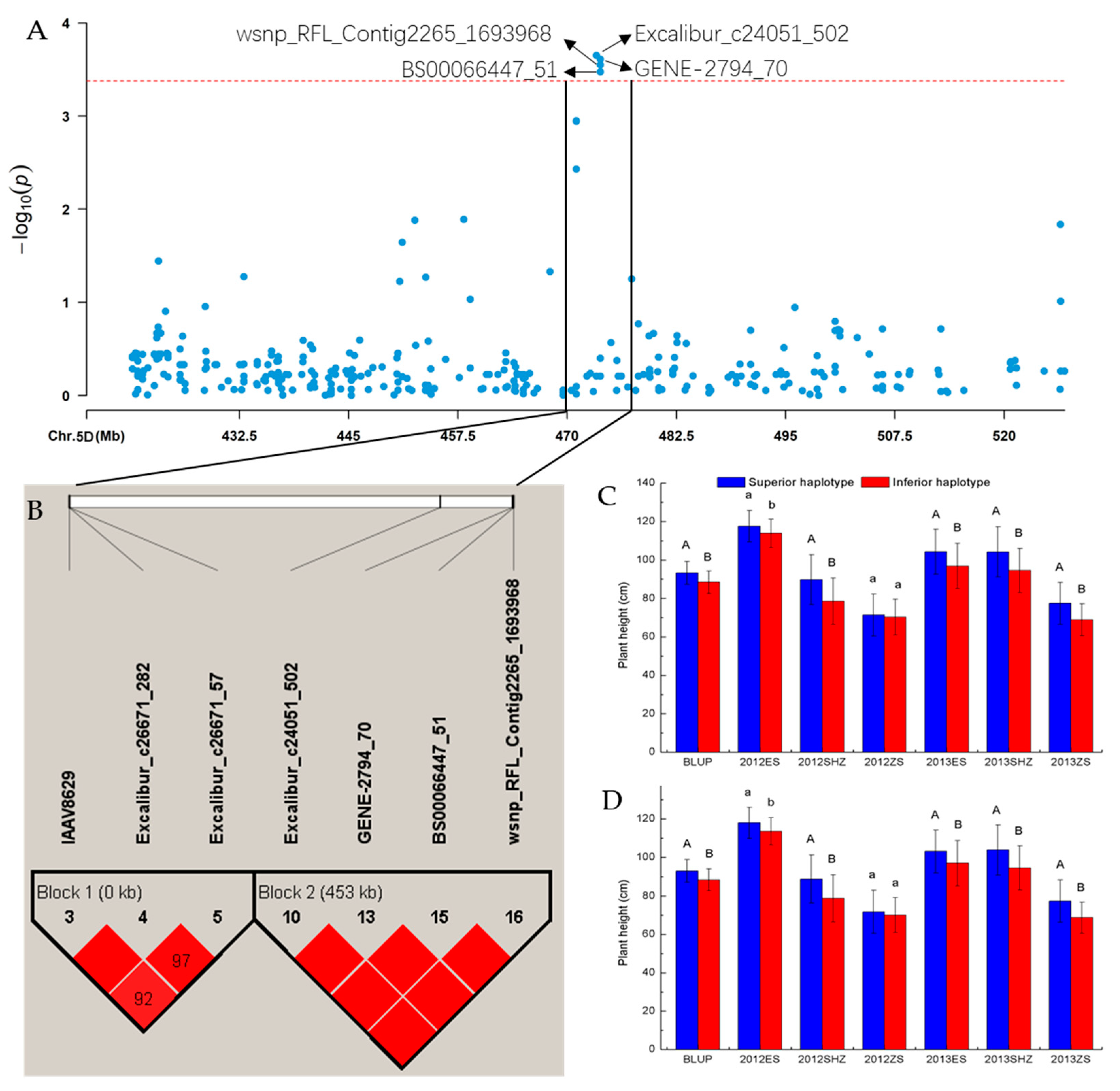 Agronomy 13 02784 g002