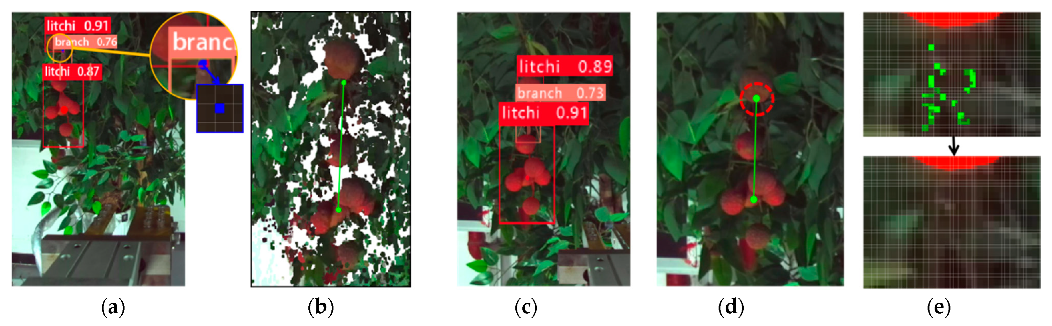 Agronomy 13 02795 g007