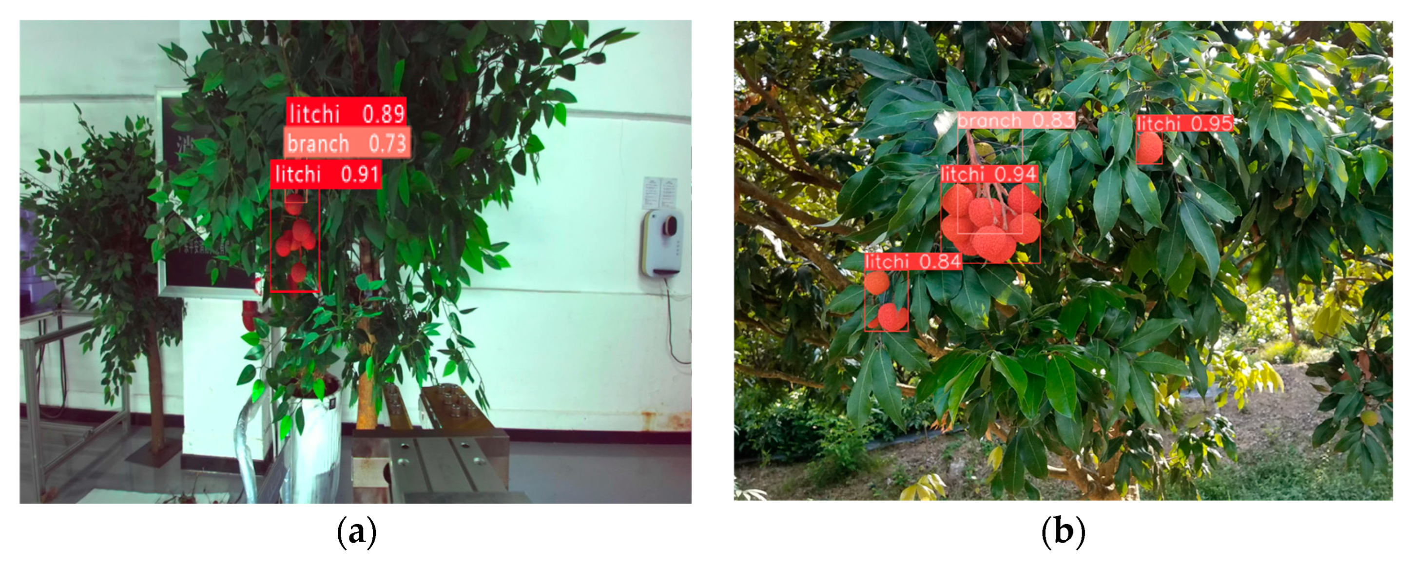 Agronomy 13 02795 g013