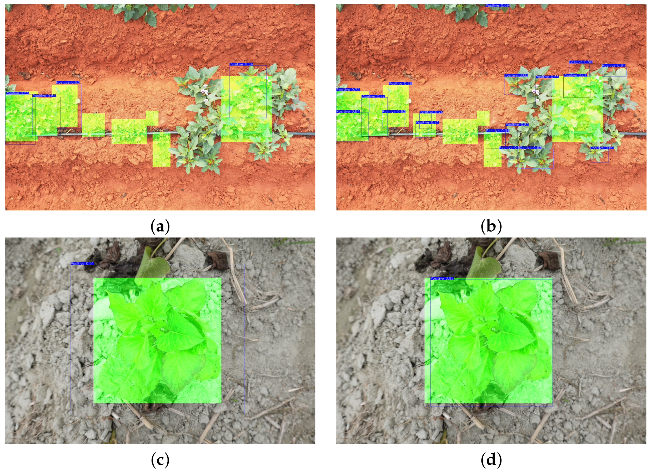 Agronomy 13 02801 g010