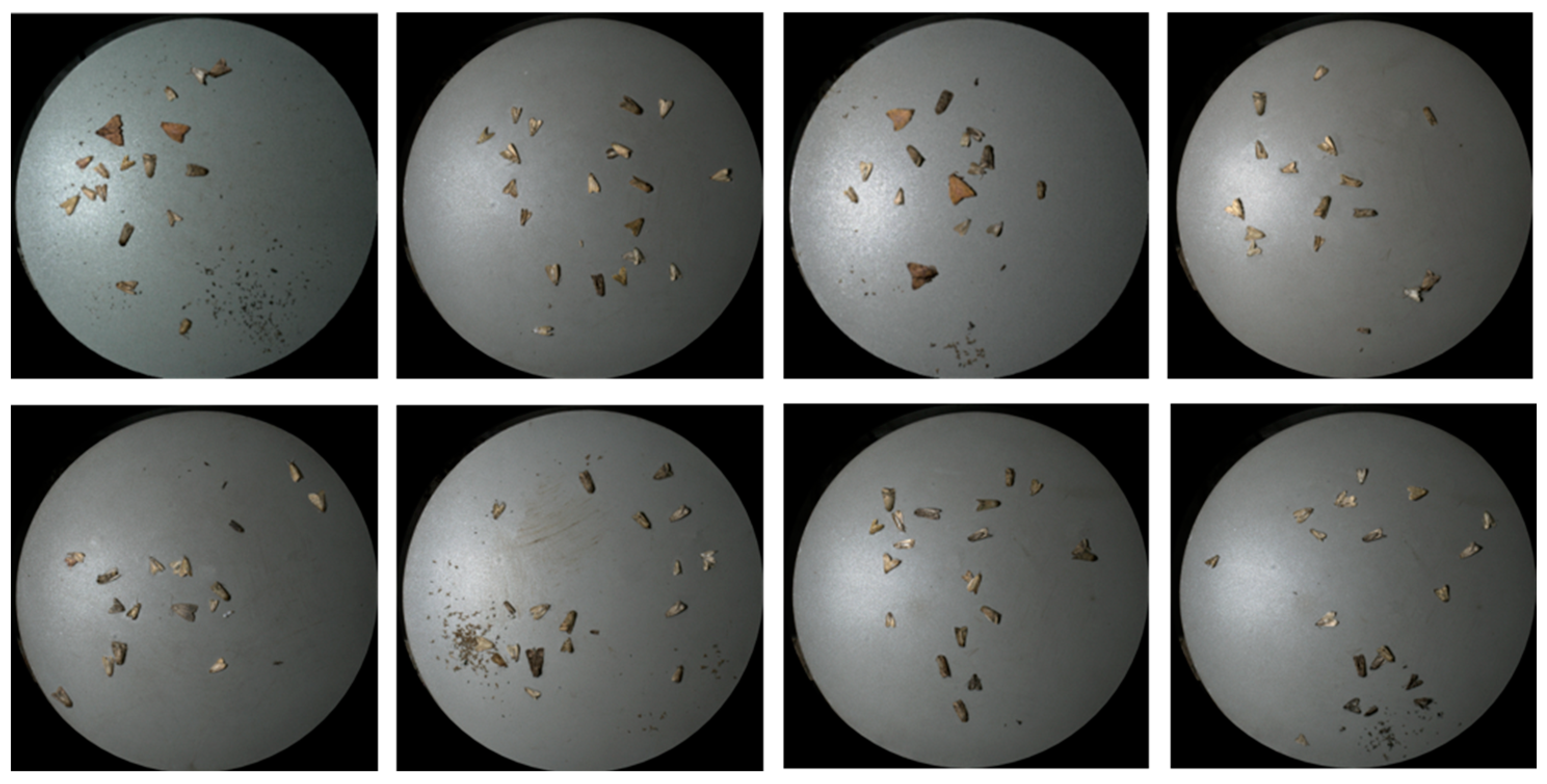 Agronomy 13 02806 g002