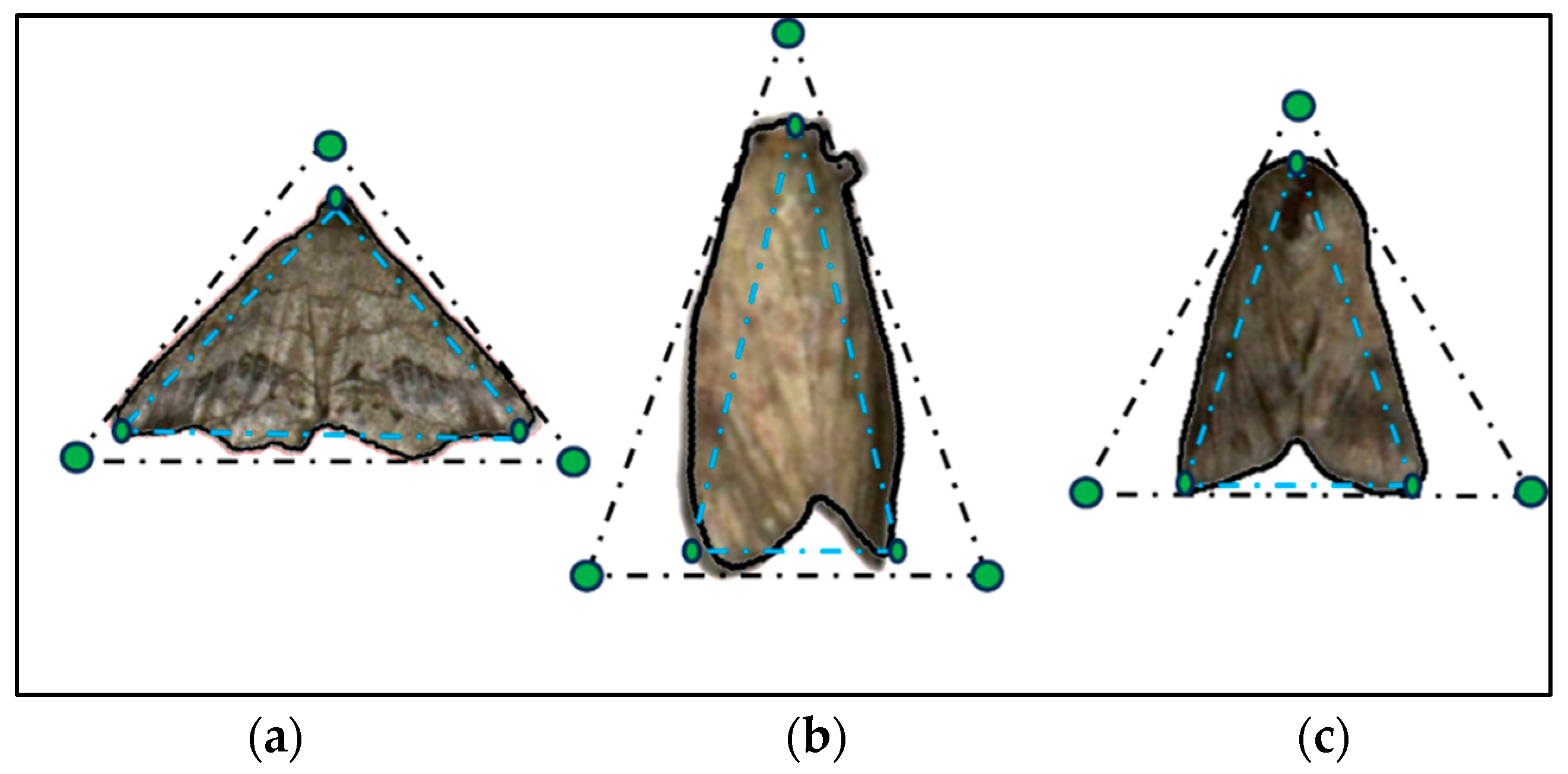 Agronomy 13 02806 g005