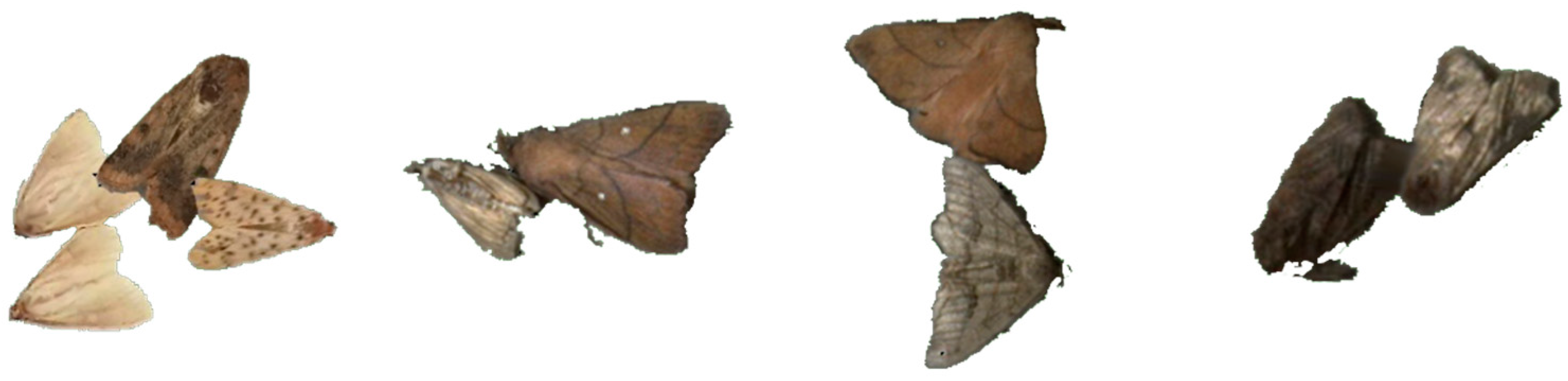 Agronomy 13 02806 g010