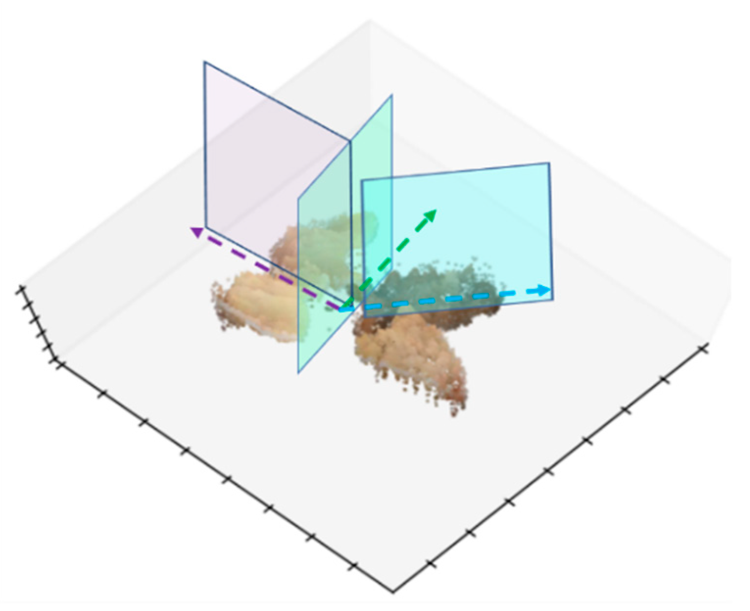 Agronomy 13 02806 g014