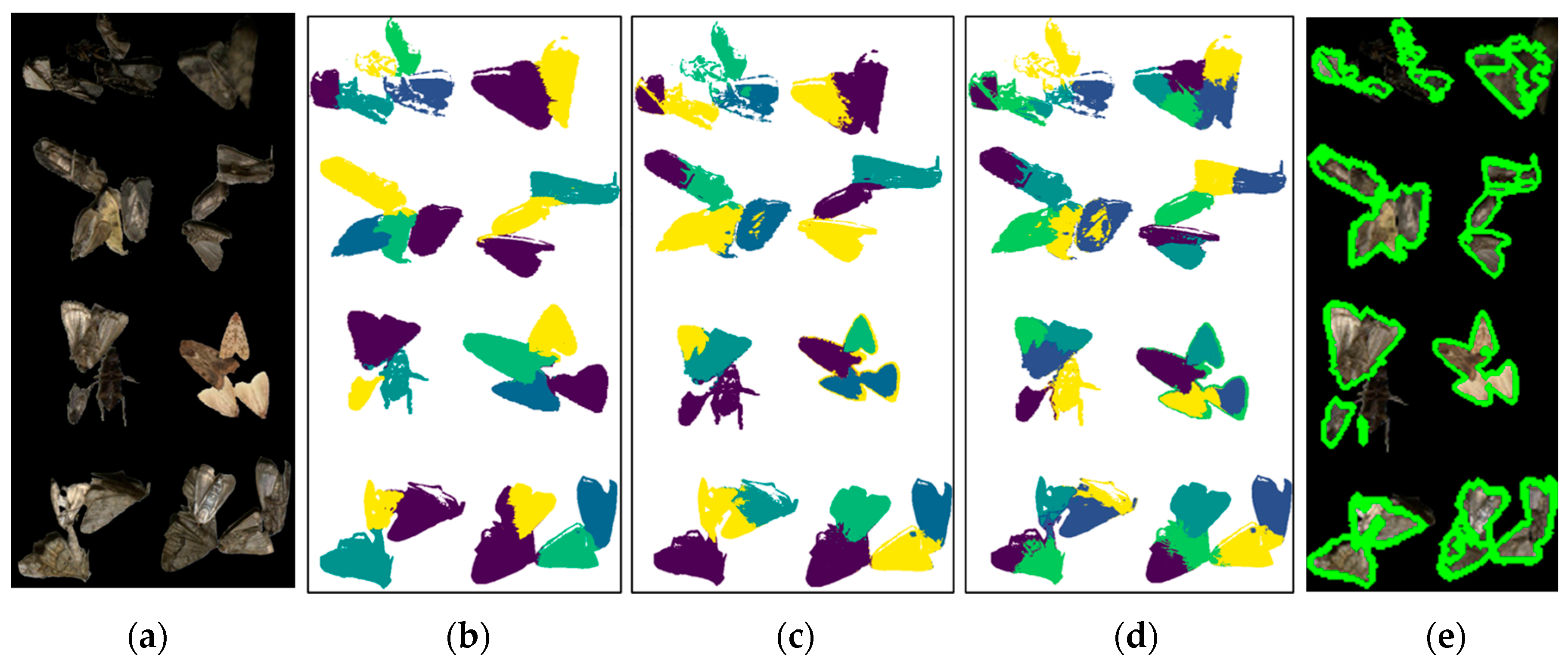Agronomy 13 02806 g016