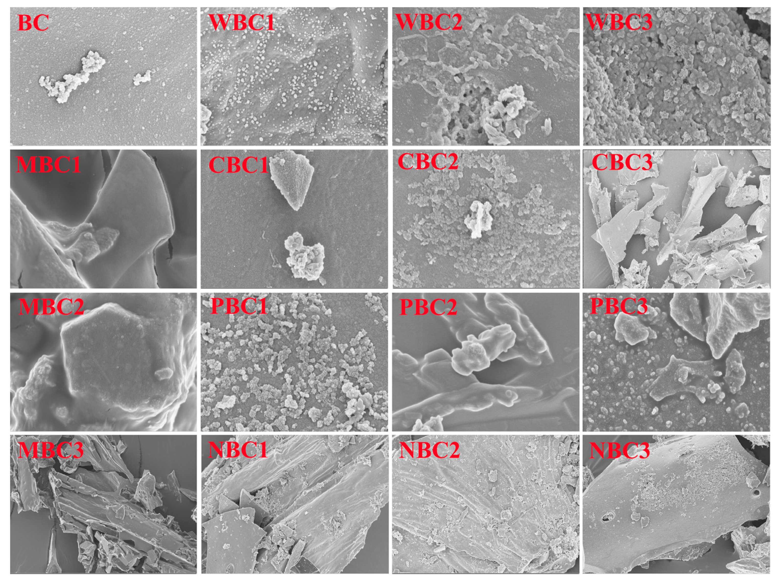 Agronomy 13 02807 g002 Agronomy 13 02807 g002