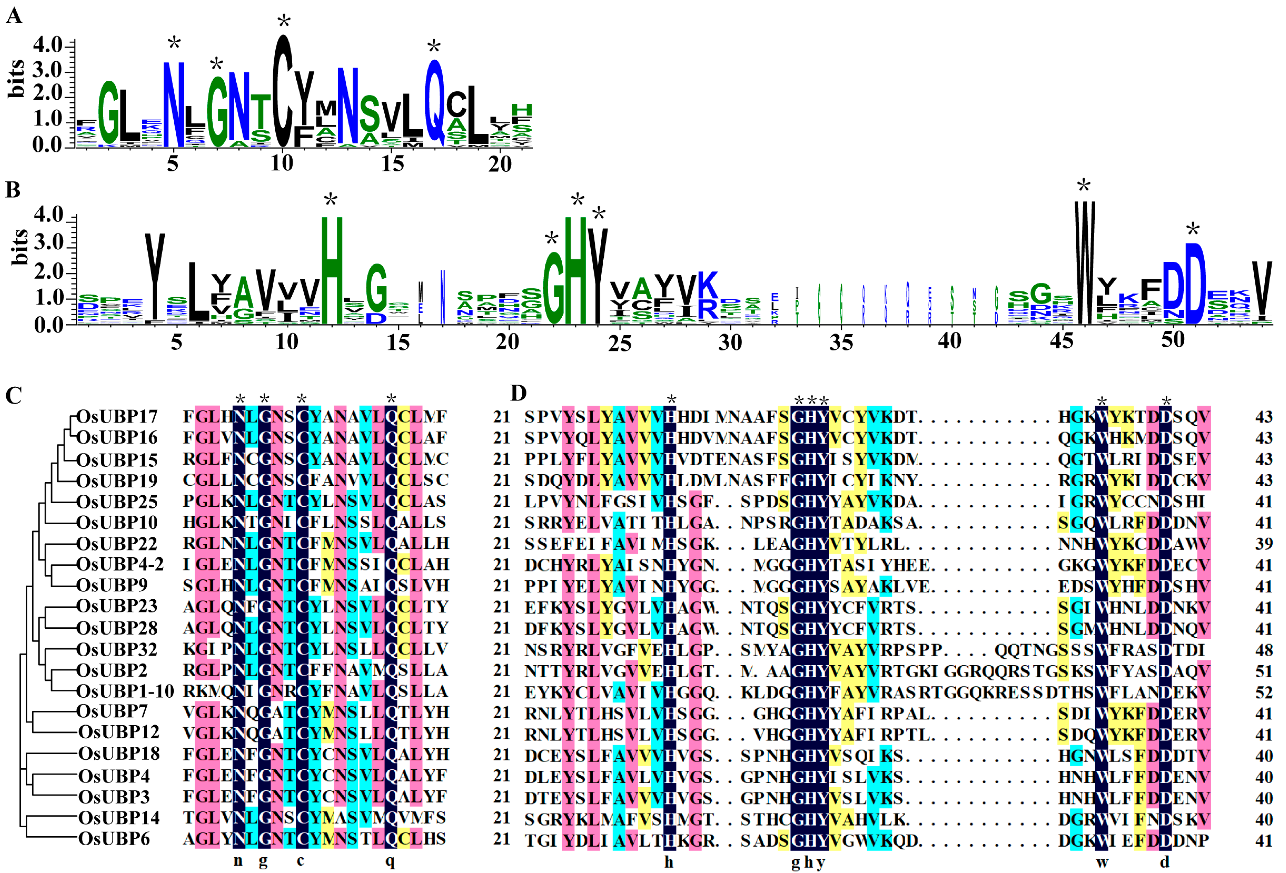 Agronomy 13 02809 g003