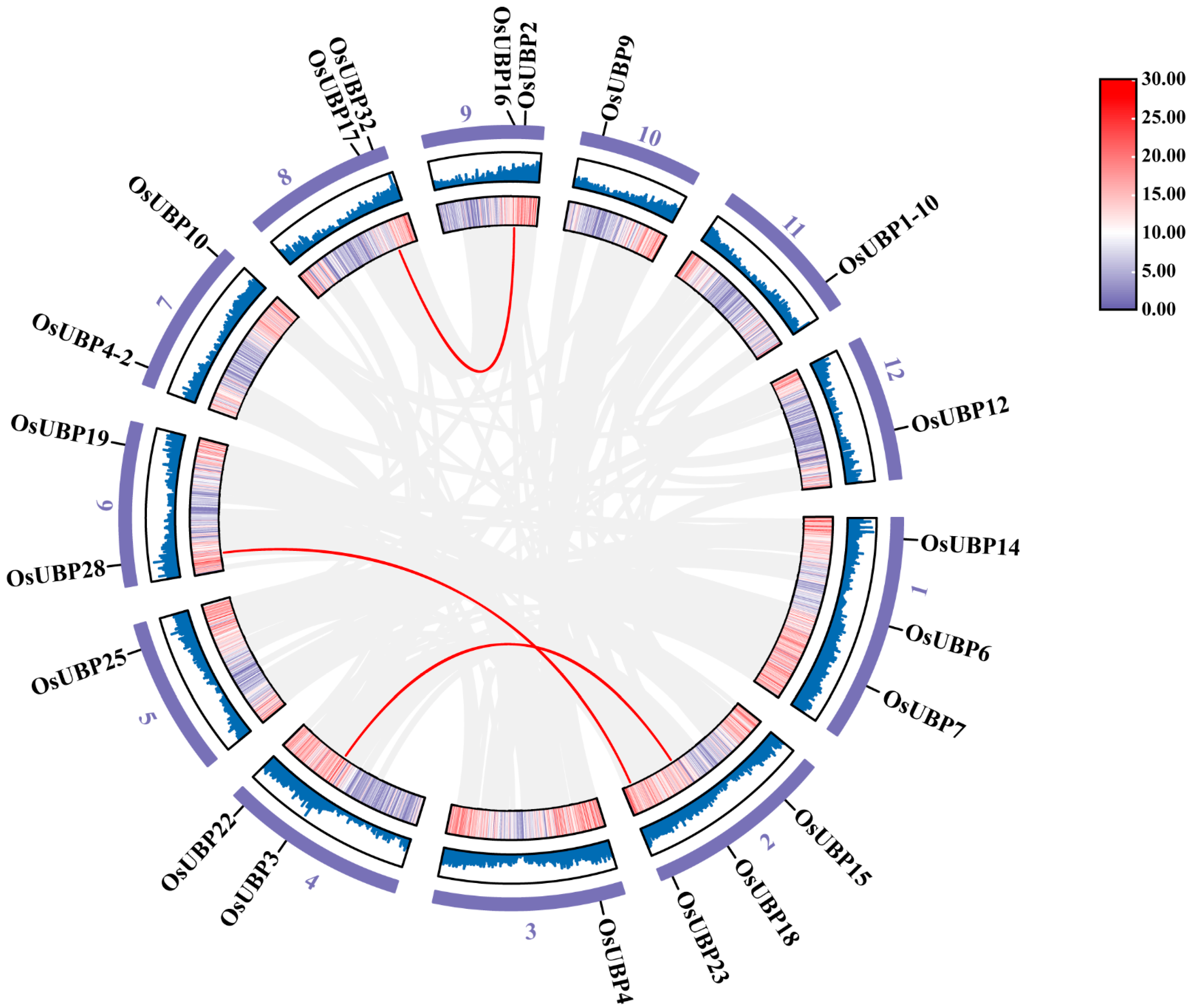 Agronomy 13 02809 g005